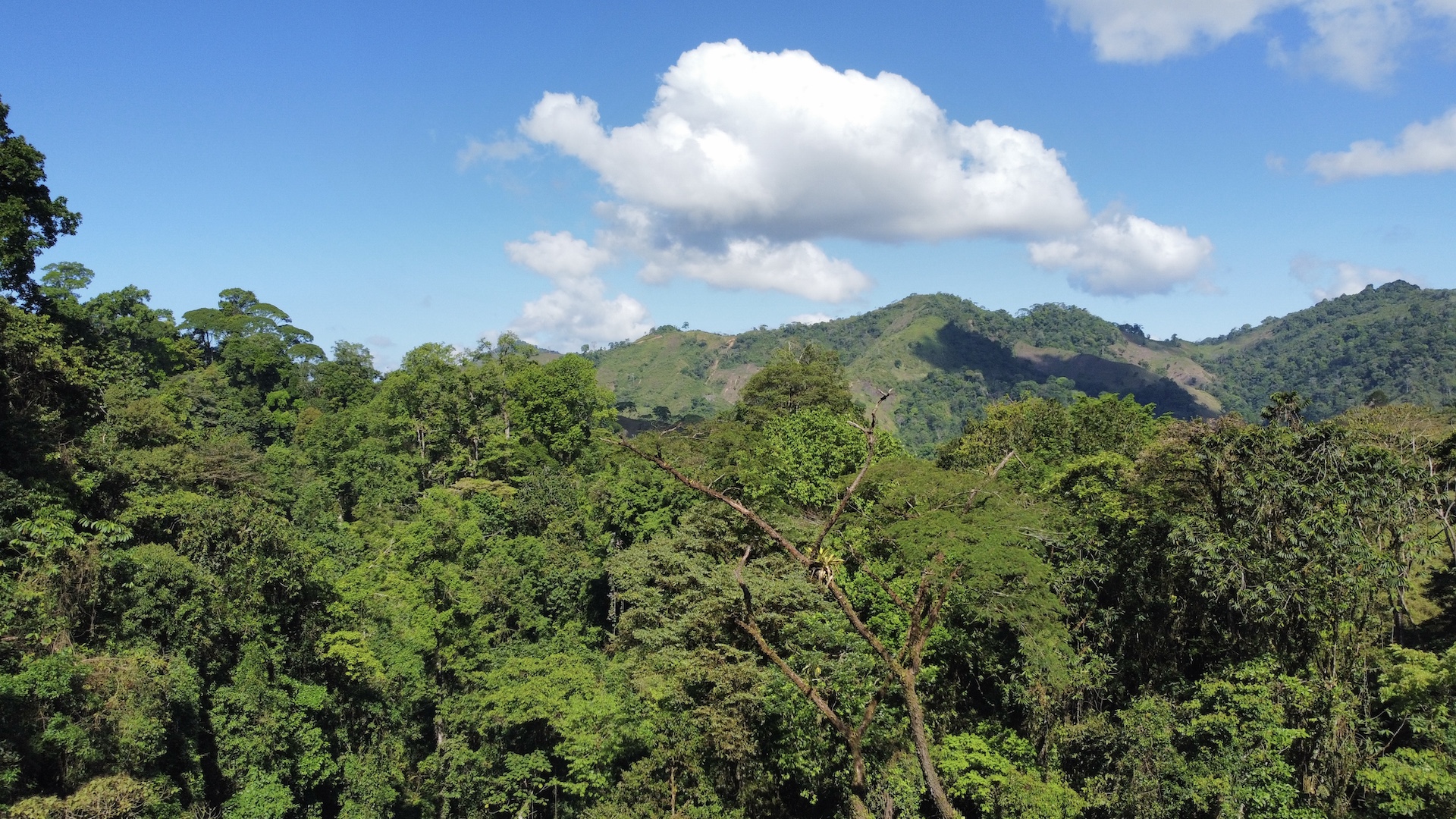 0 bed Land For Sale in Palmar, Puntarenas - thumb 22