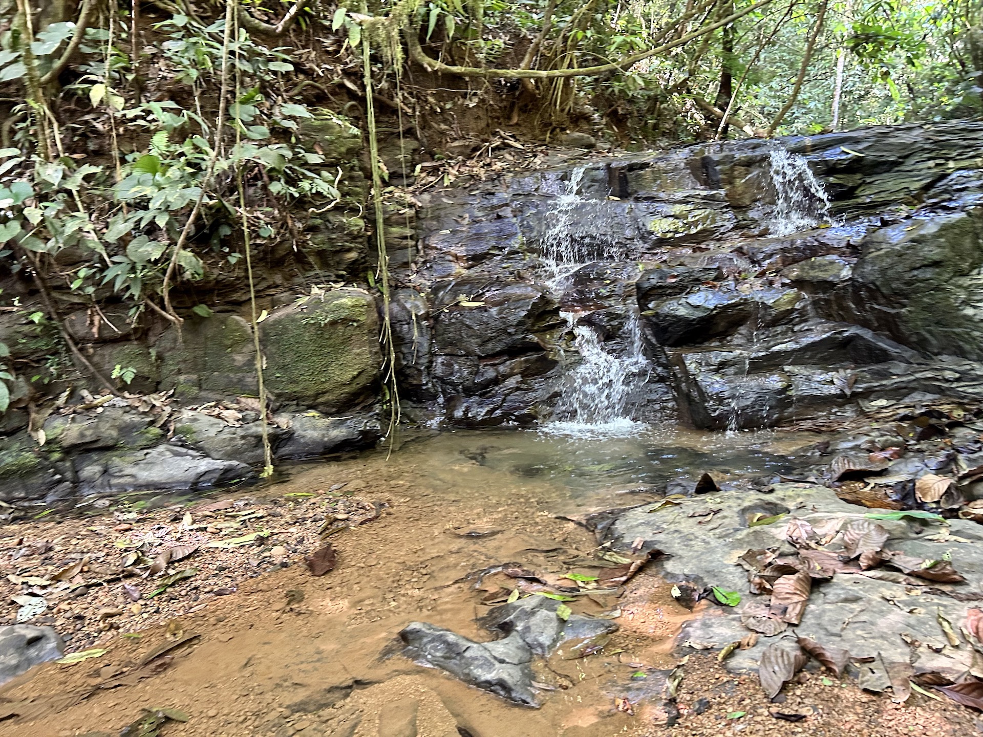 0 bed Land For Sale in Palmar, Puntarenas - thumb 28