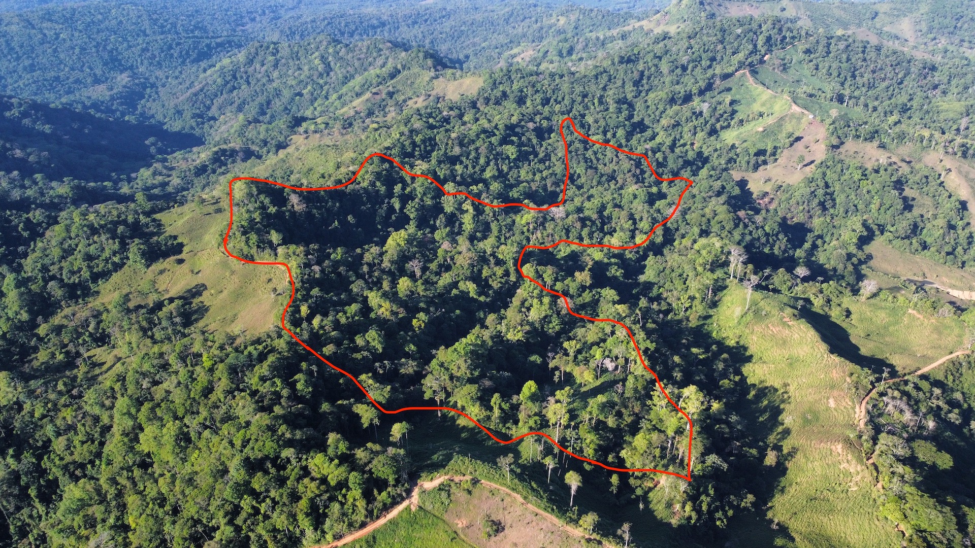 0 bed Land For Sale in Palmar, Puntarenas - thumb 2