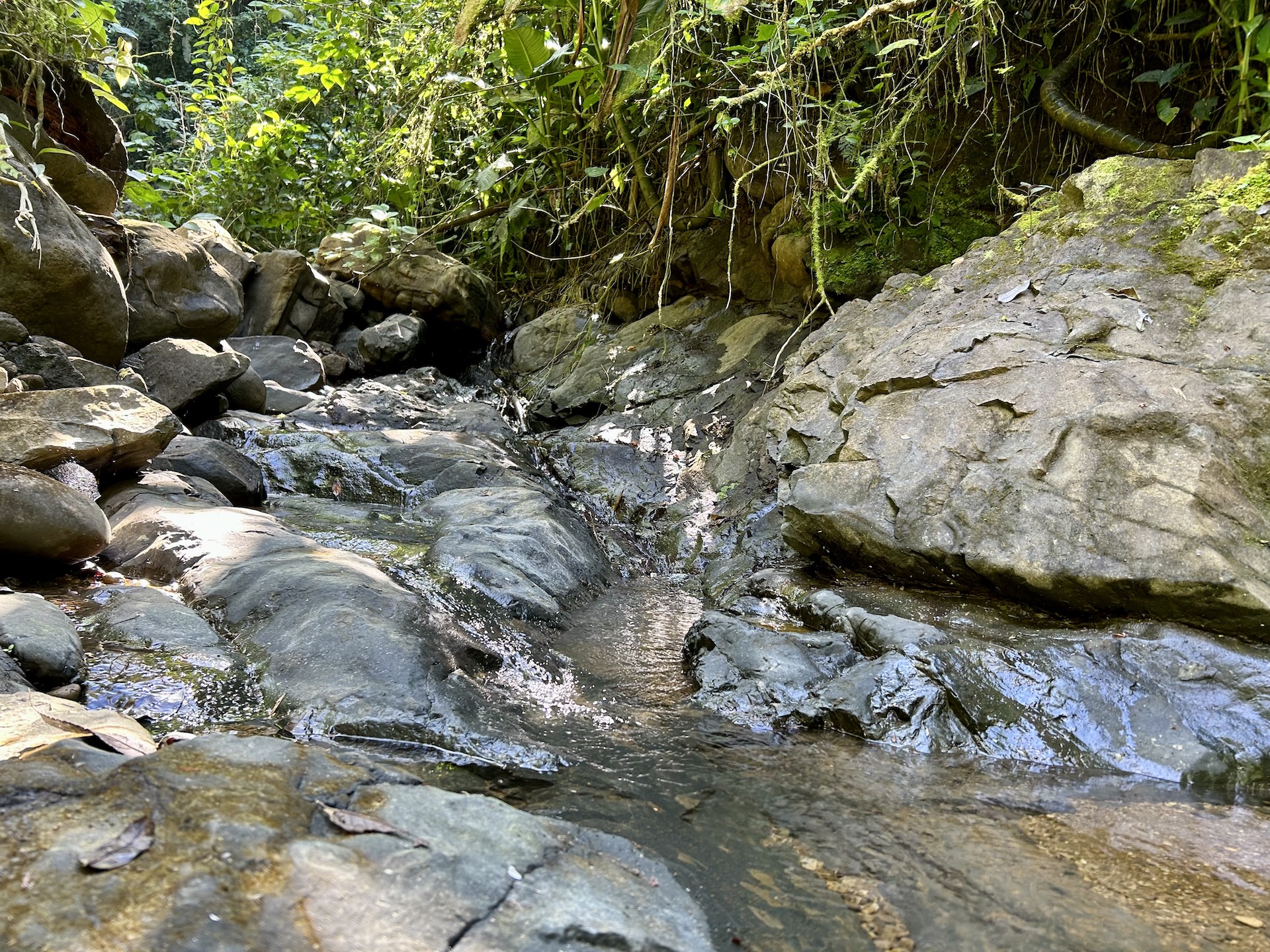 0 bed Land For Sale in Palmar, Puntarenas - thumb 19