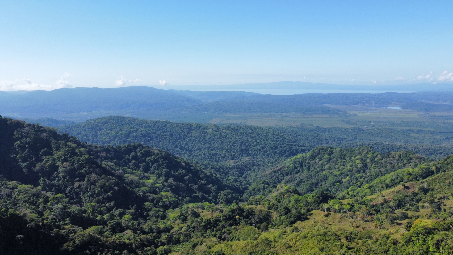 0 bed Land For Sale in Palmar, Puntarenas - thumb 15