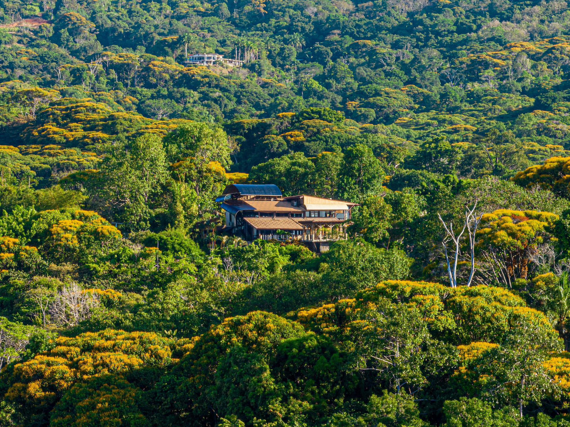 6 bed Single Family Homes For Sale in Dominical, Puntarenas - thumb 5