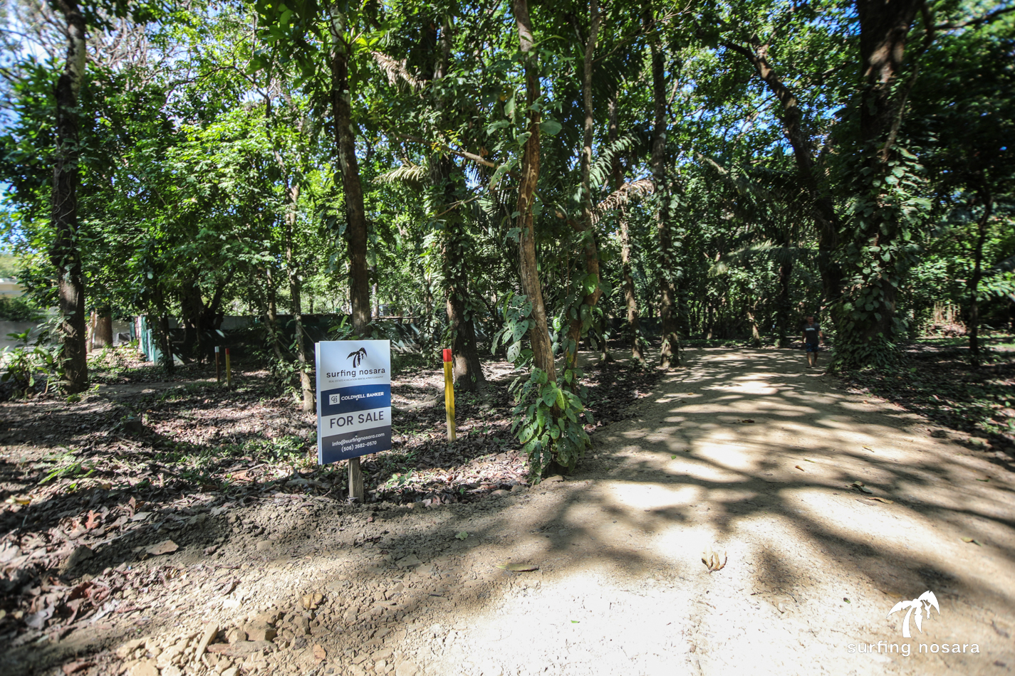 0 bed Land For Sale in Nosara, Guanacaste - thumb 6