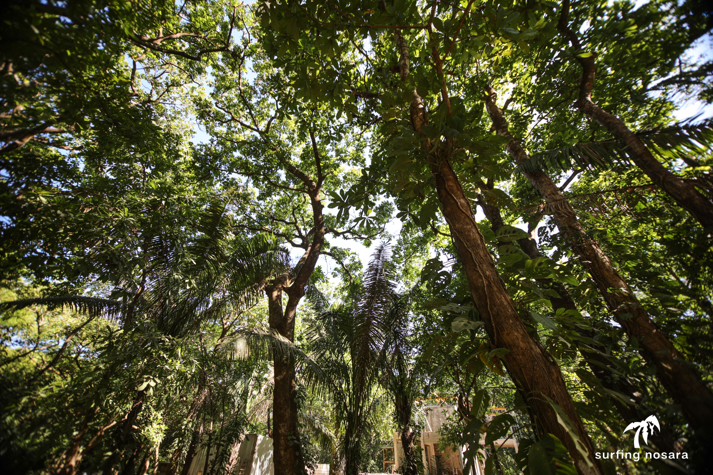 0 bed Land For Sale in Nosara, Guanacaste - thumb 4