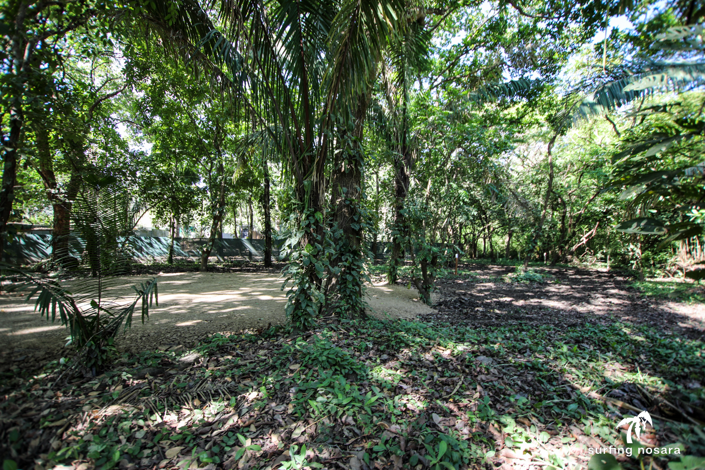 0 bed Land For Sale in Nosara, Guanacaste - thumb 2