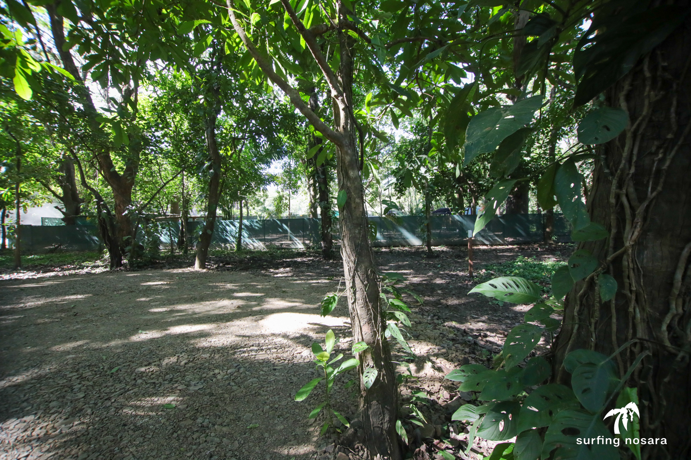 0 bed Land For Sale in Nosara, Guanacaste - thumb 1