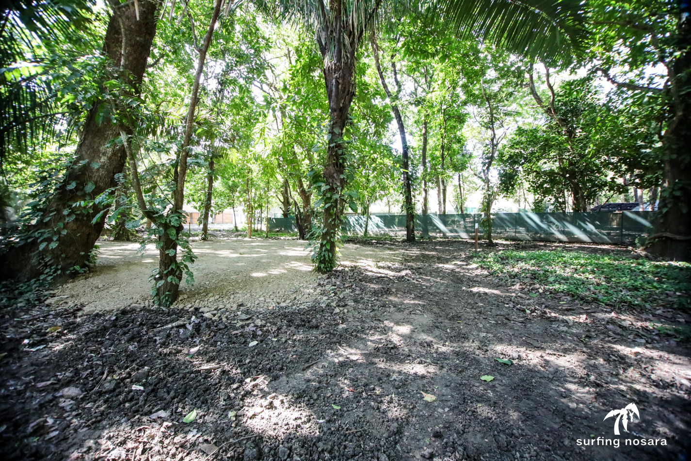 0 bed Land For Sale in Nosara, Guanacaste - thumb 7