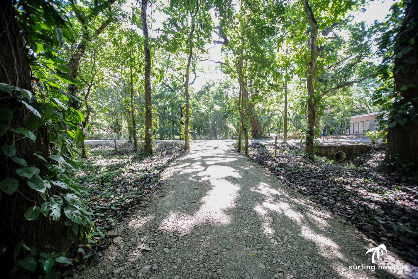 0 bed Land For Sale in Nosara, Guanacaste - thumb 8