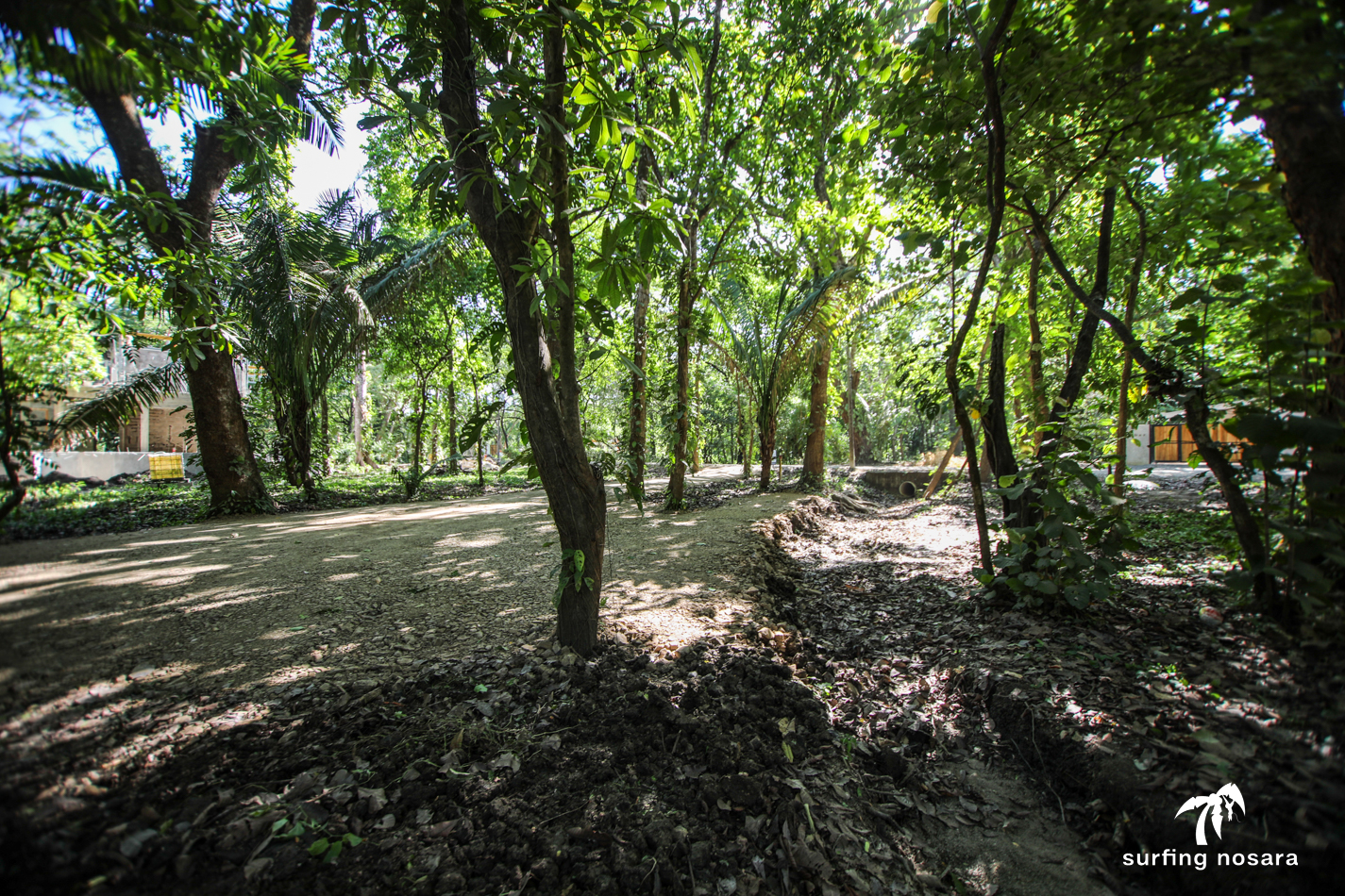 0 bed Land For Sale in Nosara, Guanacaste - thumb 5