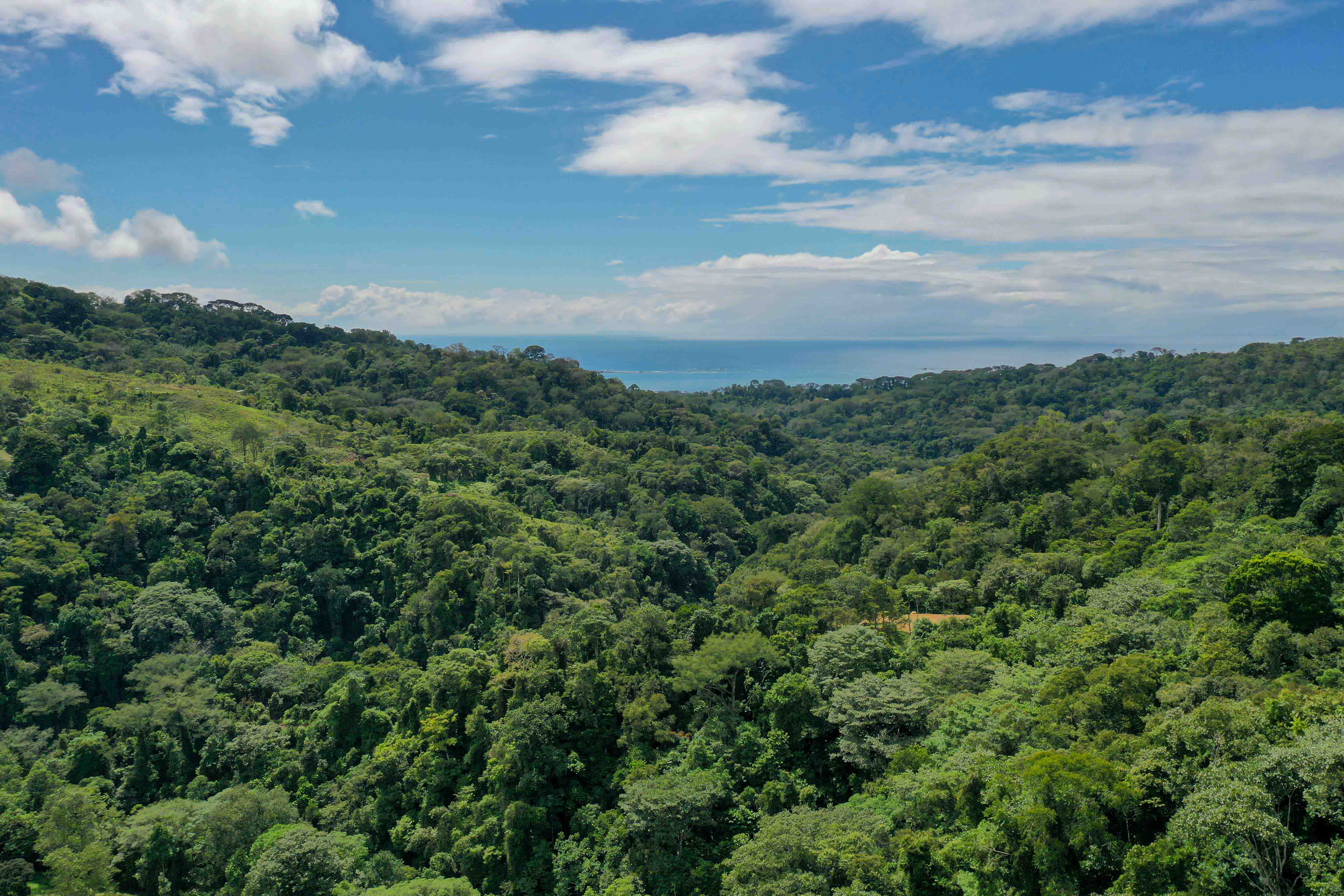 0 bed Land For Sale in Uvita, Puntarenas - thumb 6