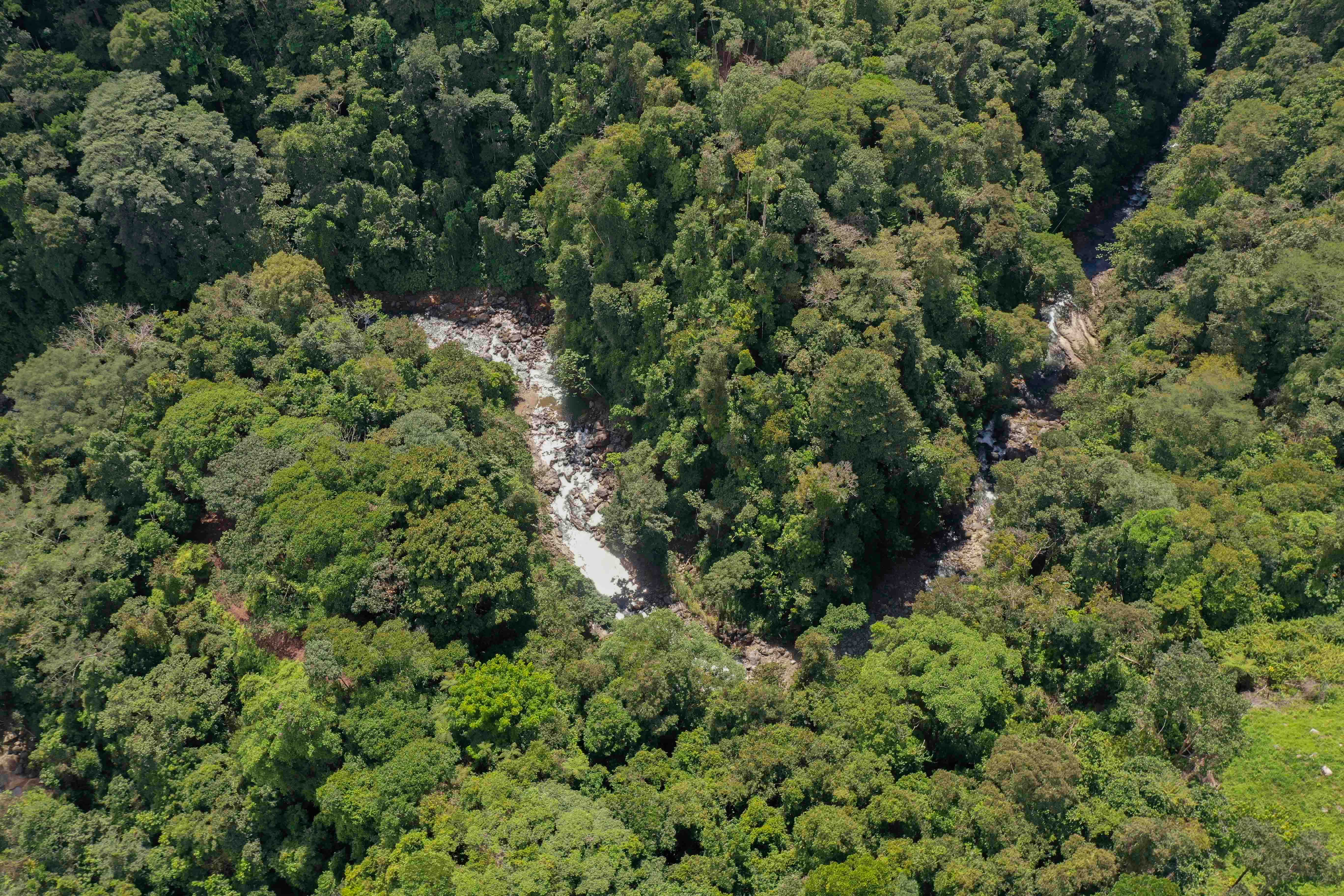 0 bed Land For Sale in Uvita, Puntarenas - thumb 13