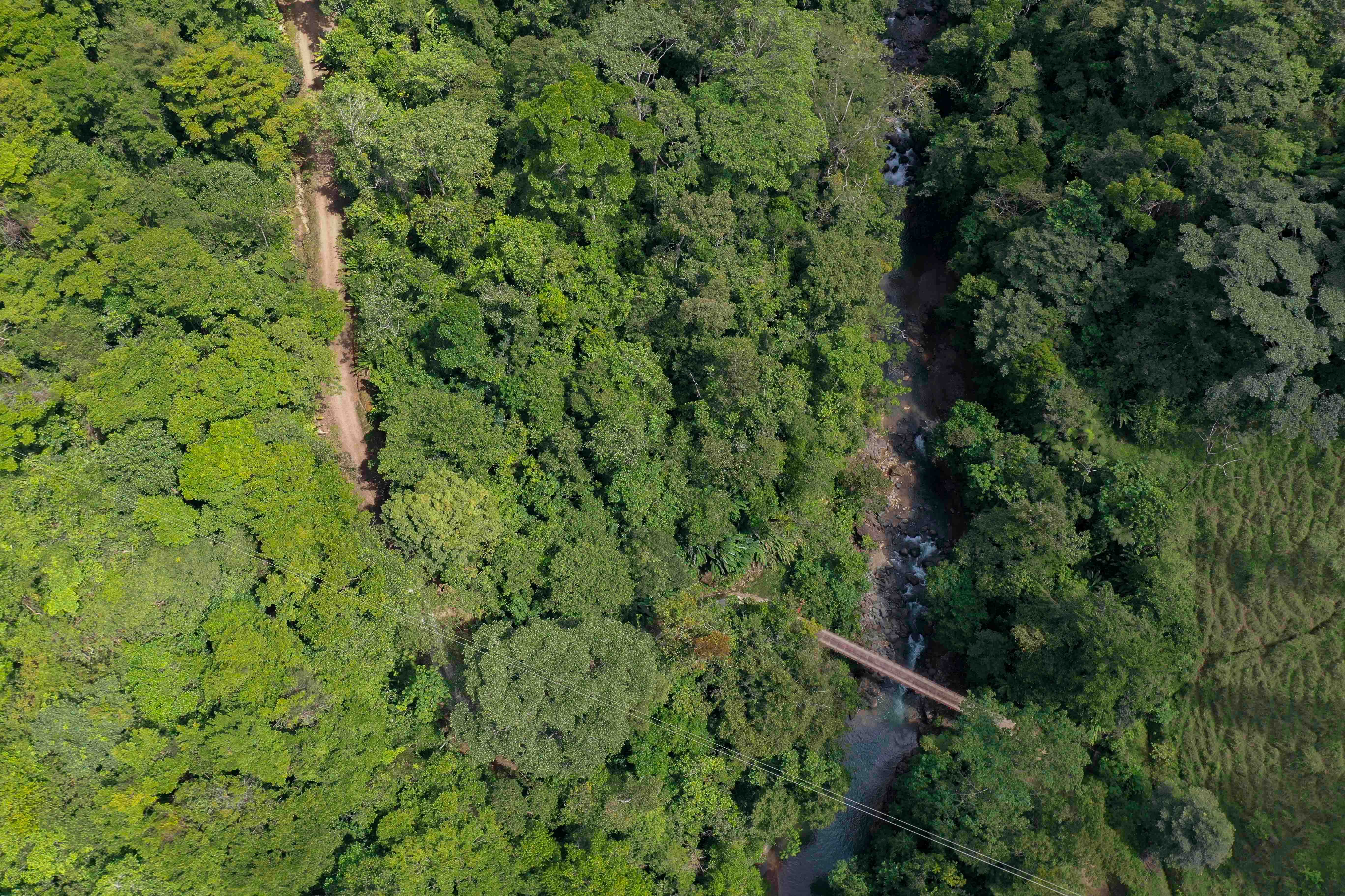 0 bed Land For Sale in Uvita, Puntarenas - thumb 17