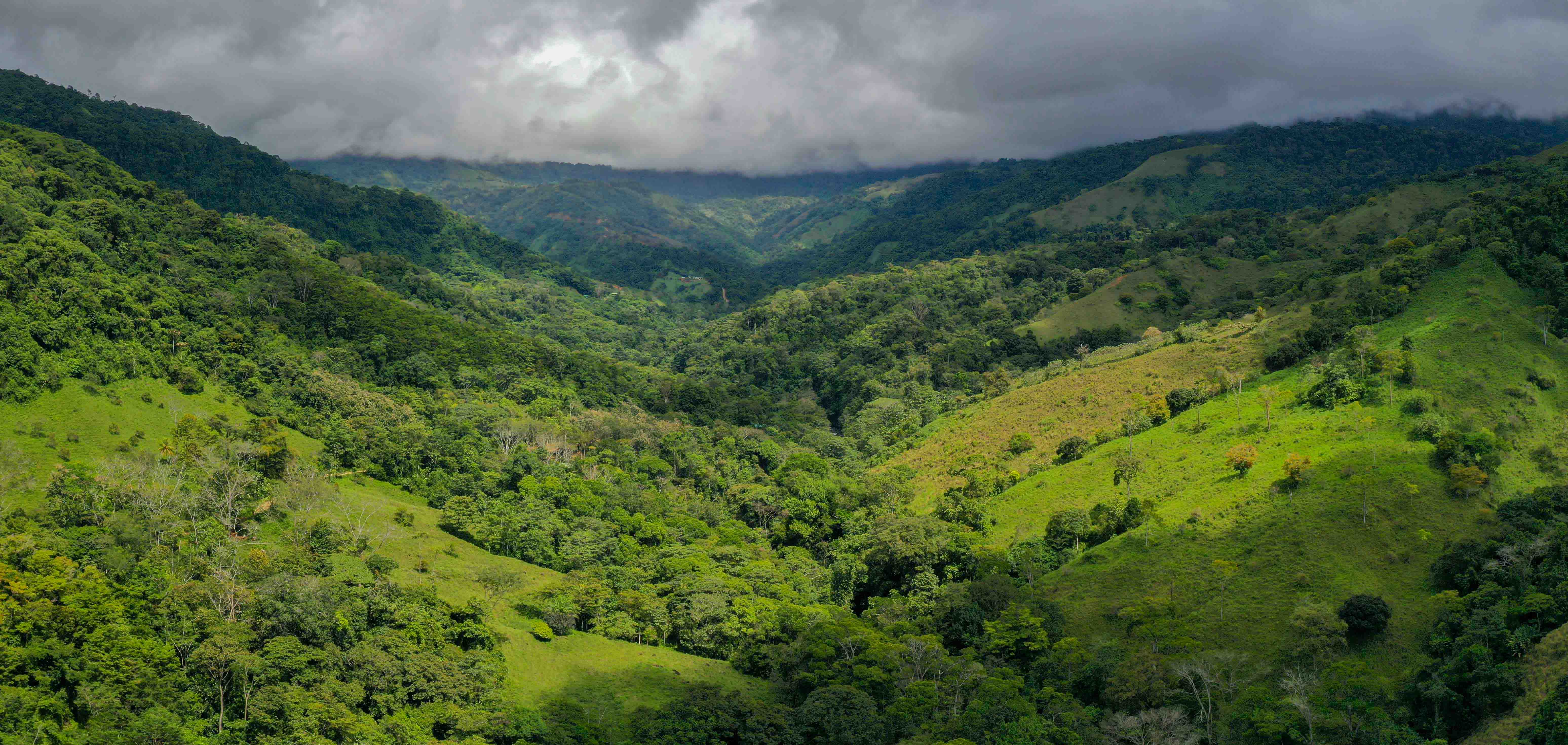 0 bed Land For Sale in Uvita, Puntarenas - thumb 15