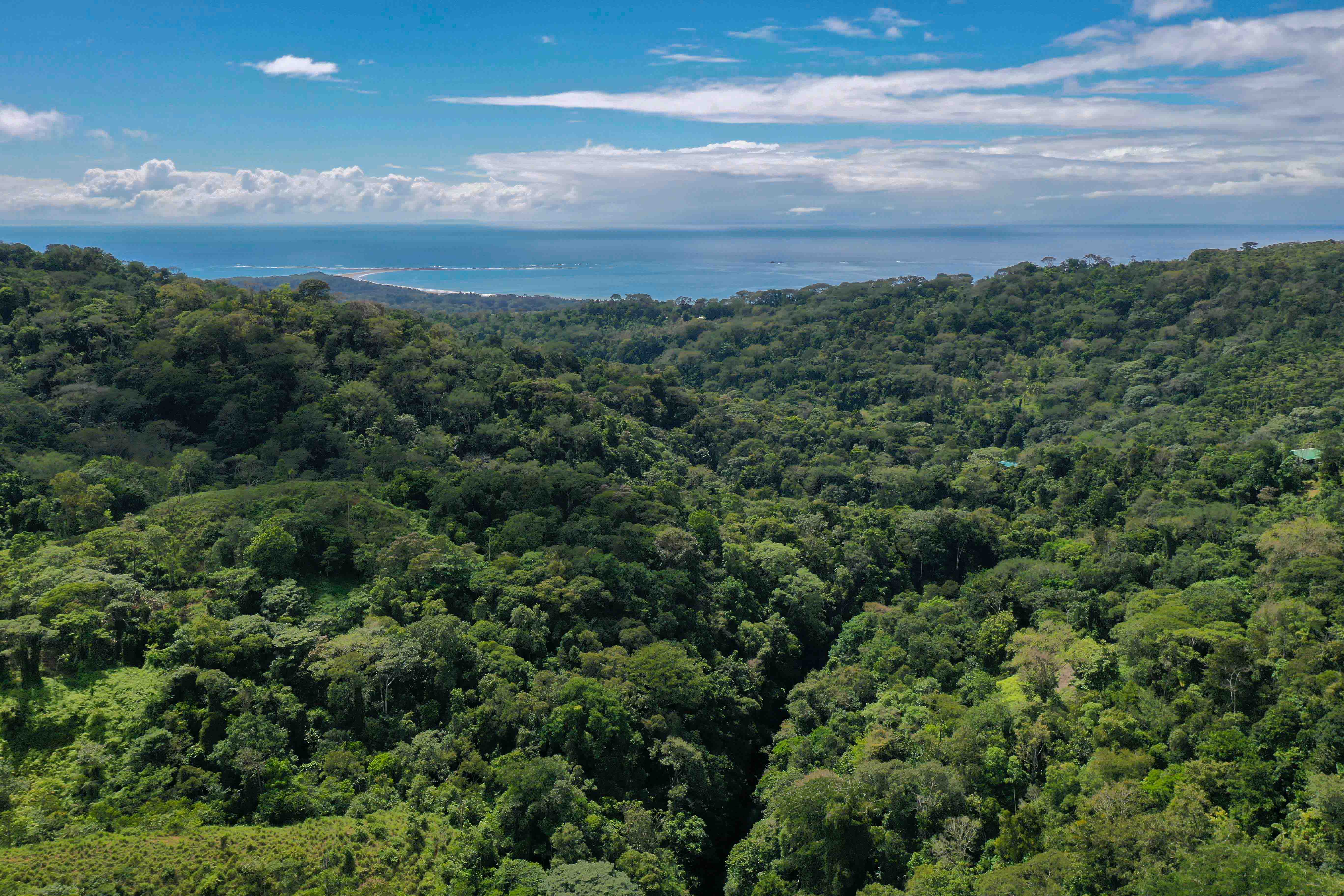 0 bed Land For Sale in Uvita, Puntarenas - thumb 5