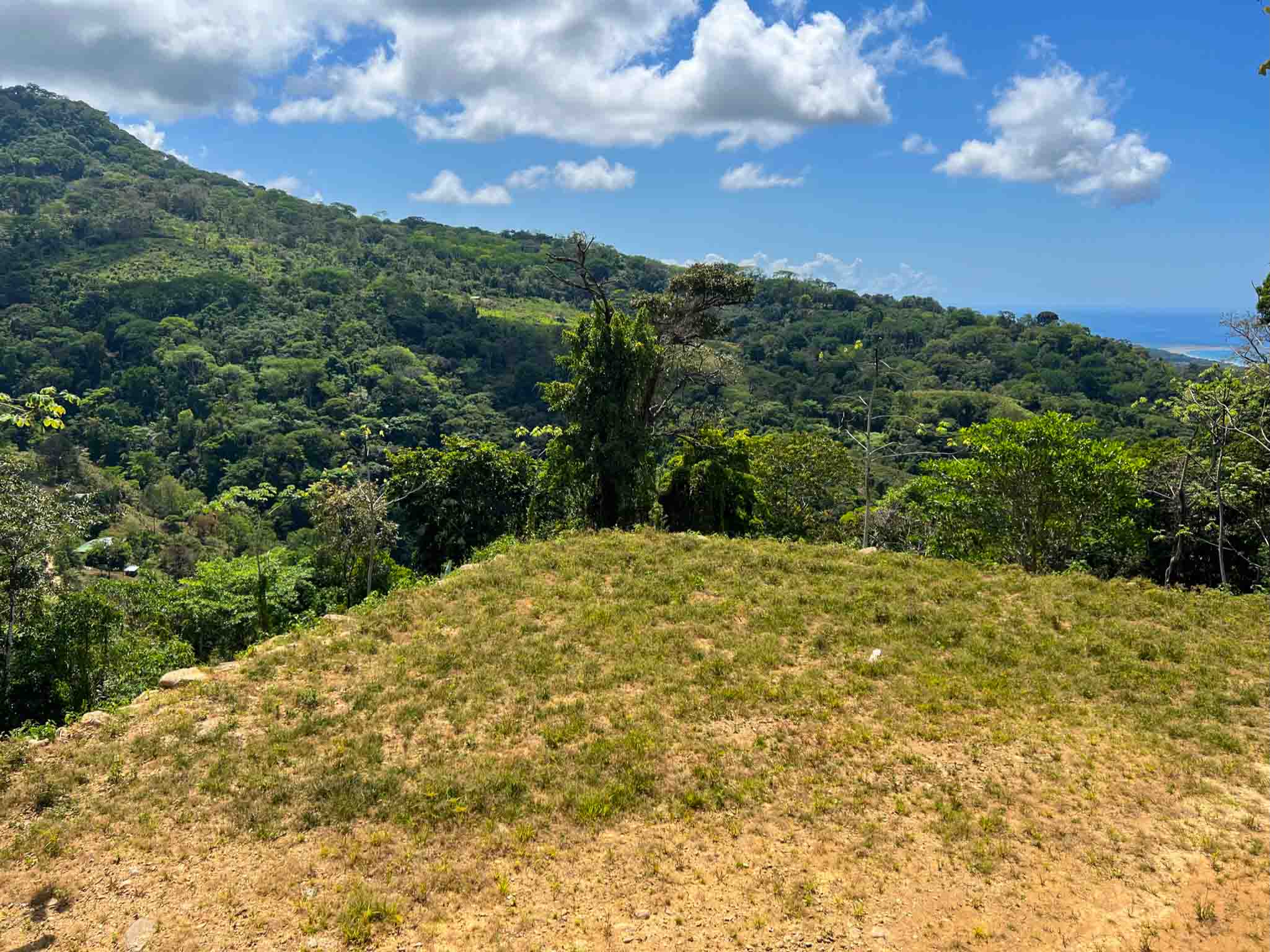 0 bed Land For Sale in Uvita, Puntarenas - thumb 8