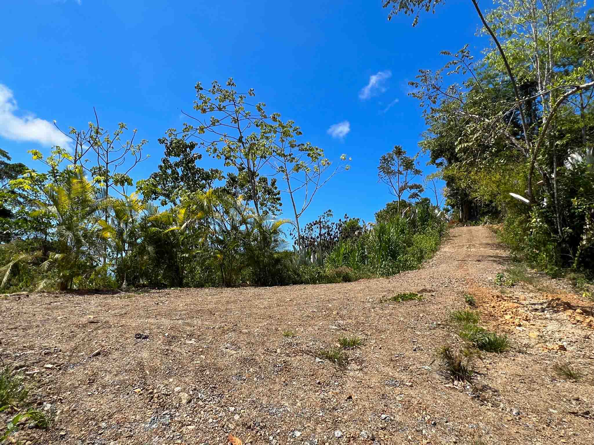 0 bed Land For Sale in Uvita, Puntarenas - thumb 10