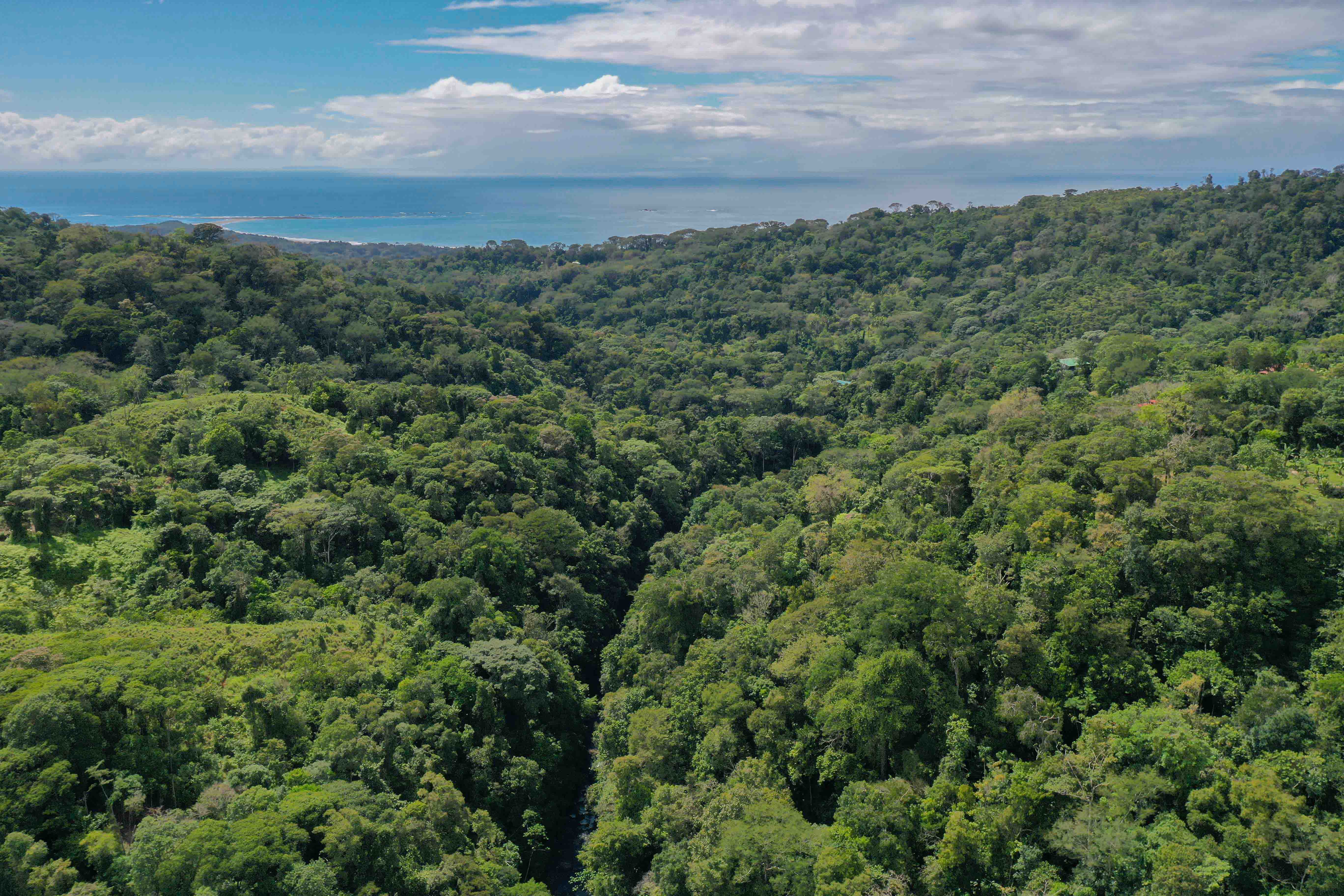0 bed Land For Sale in Uvita, Puntarenas - thumb 7