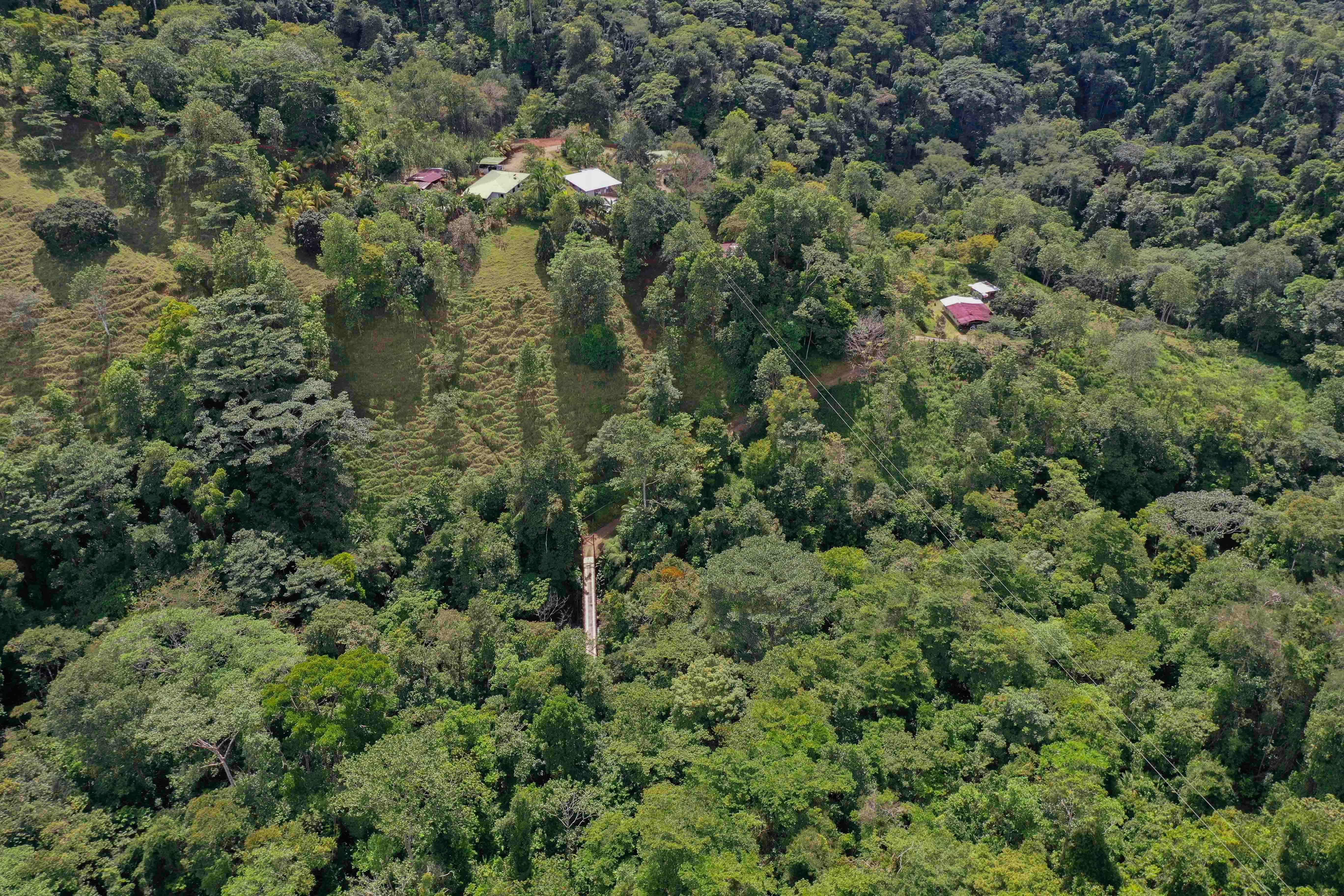 0 bed Land For Sale in Uvita, Puntarenas - thumb 12