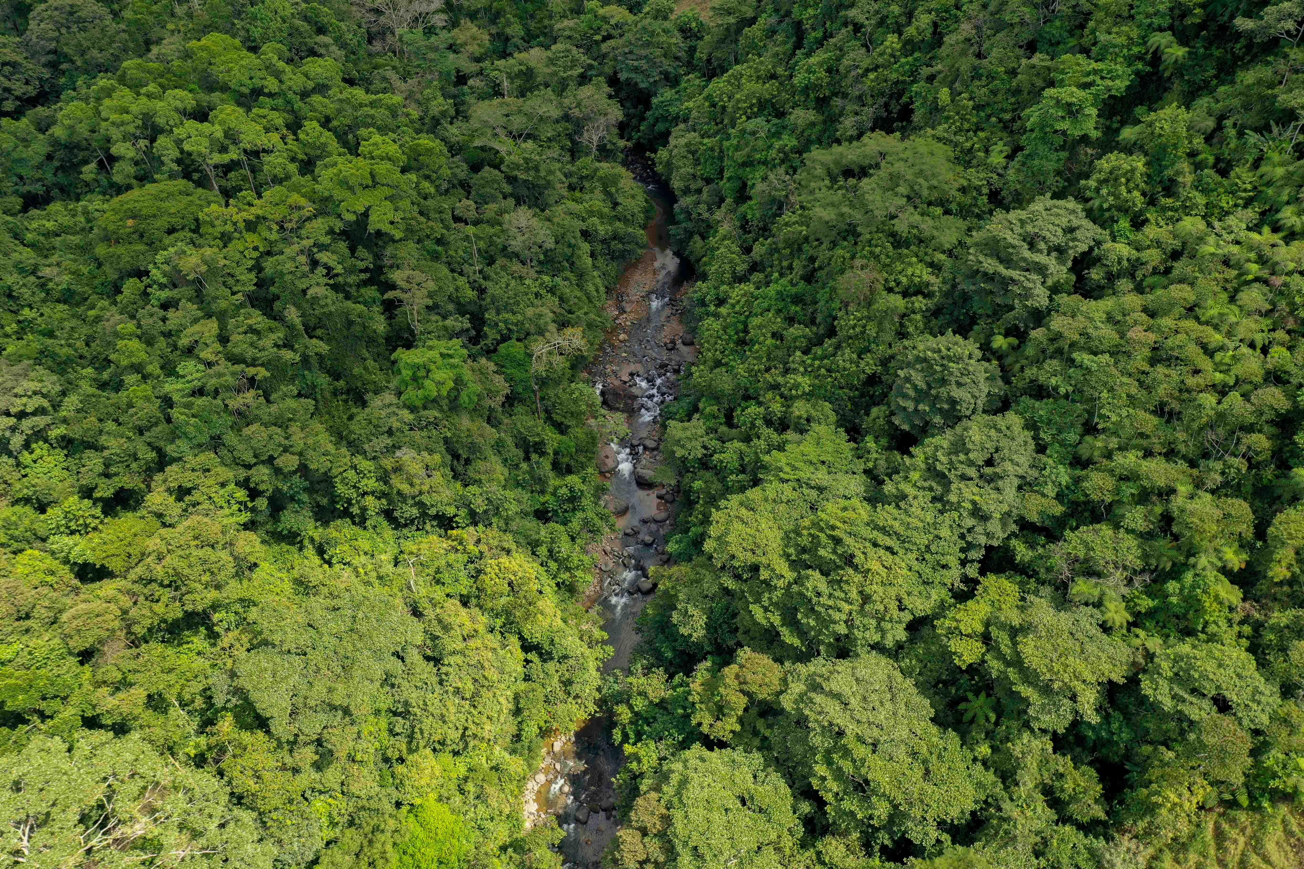 0 bed Land For Sale in Uvita, Puntarenas - thumb 16