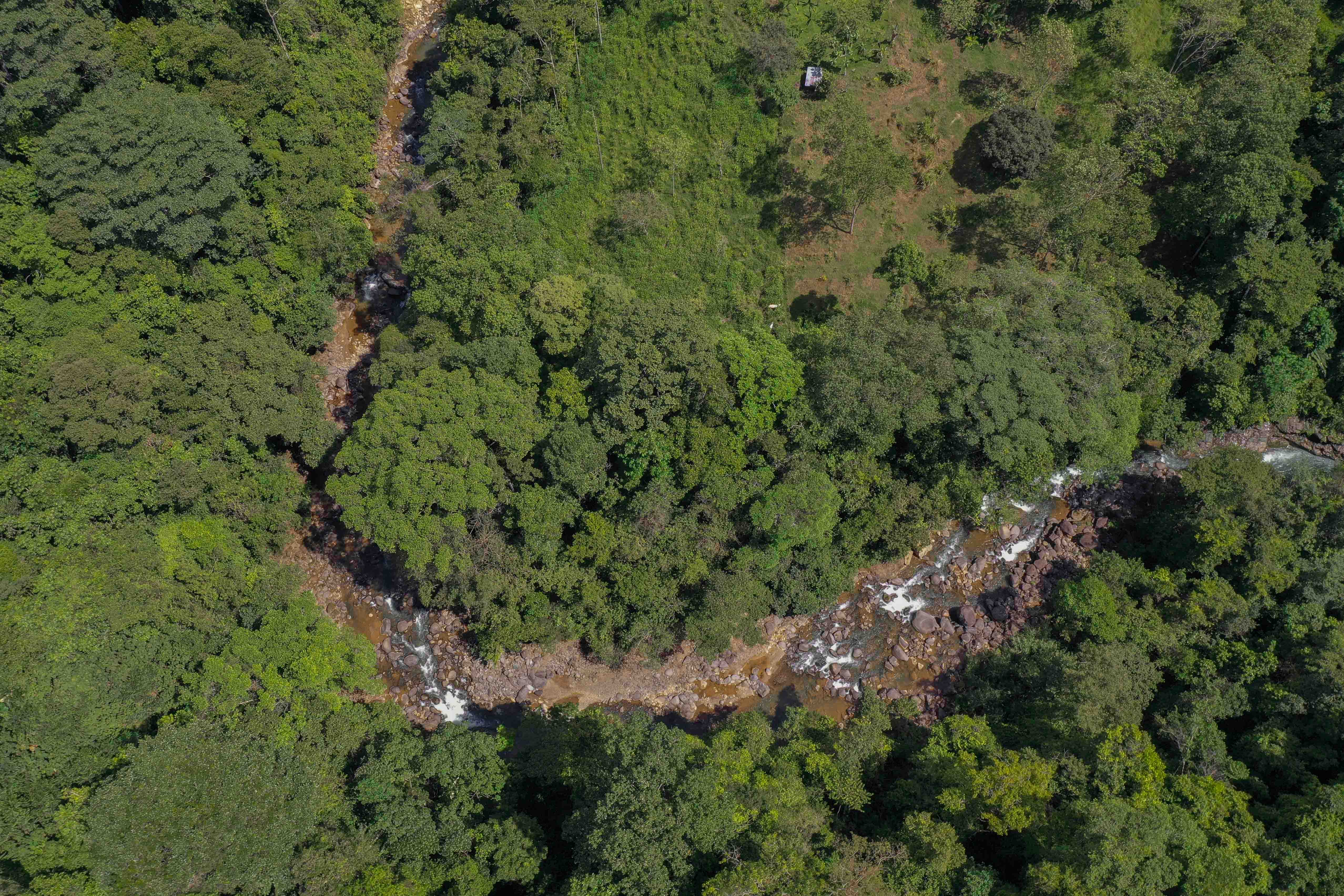 0 bed Land For Sale in Uvita, Puntarenas - thumb 14