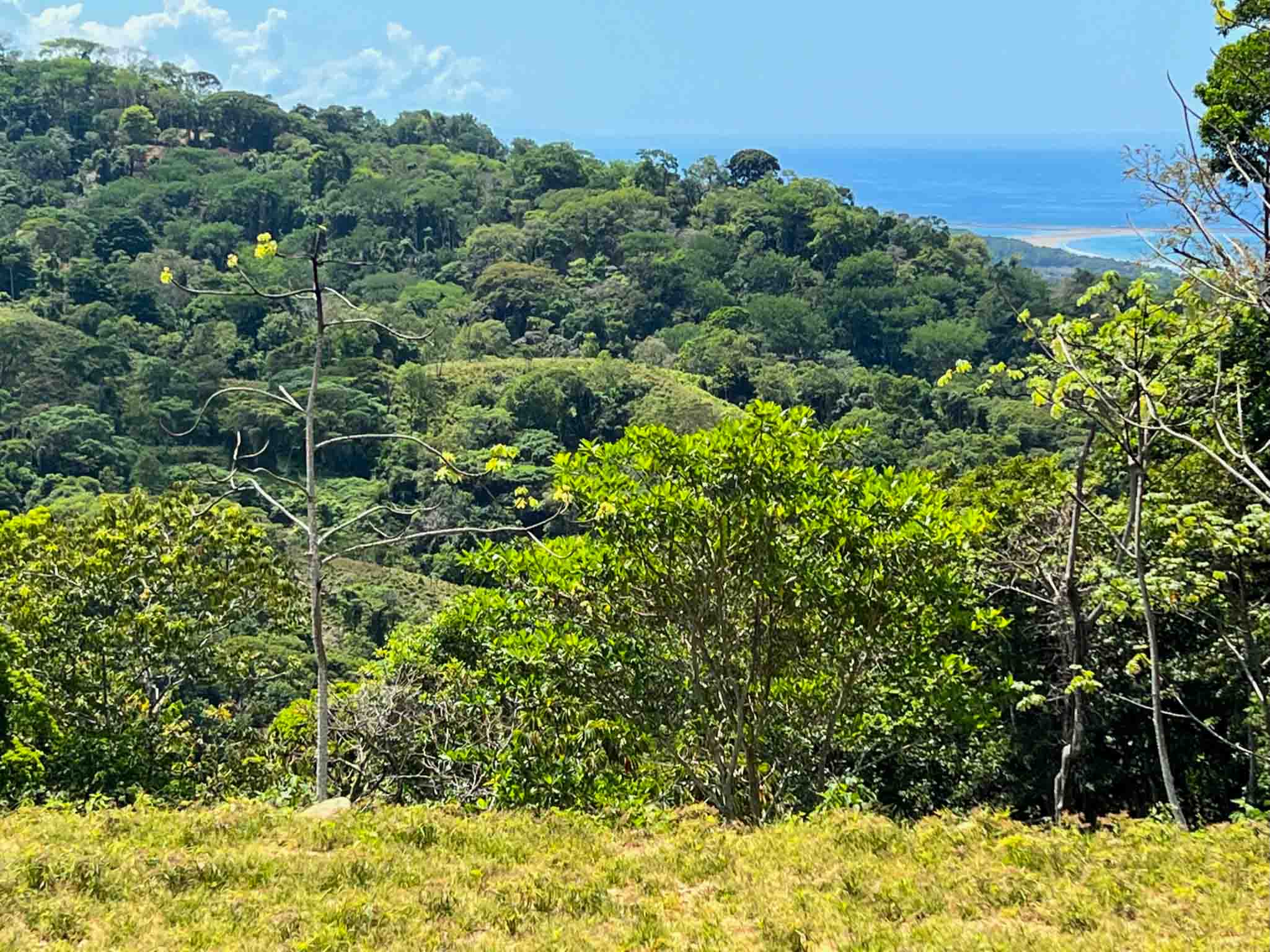 0 bed Land For Sale in Uvita, Puntarenas - thumb 11