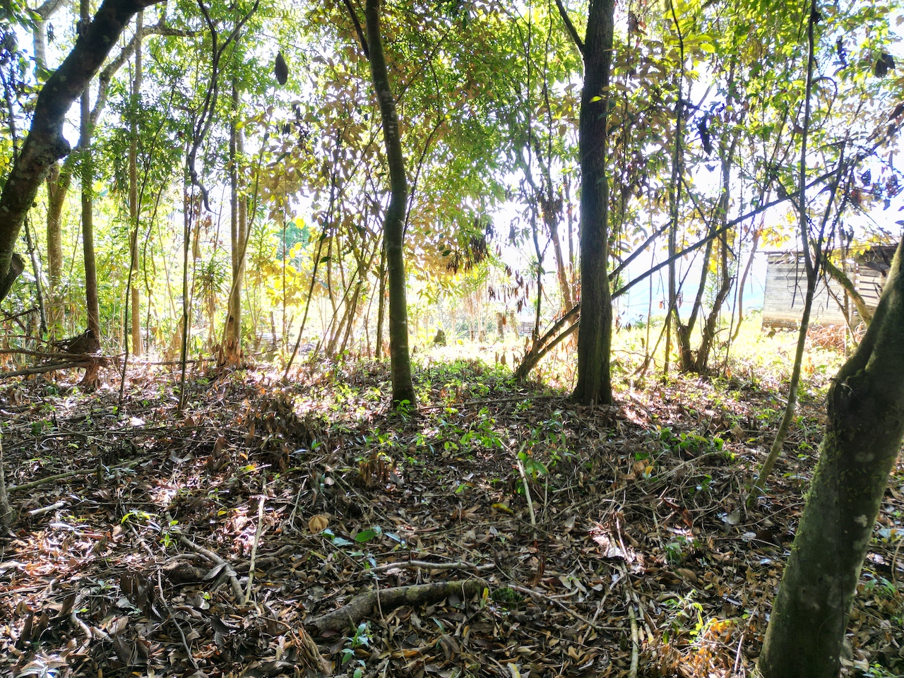 0 bed Land For Sale in Perez Zeledon, San Jose - thumb 15