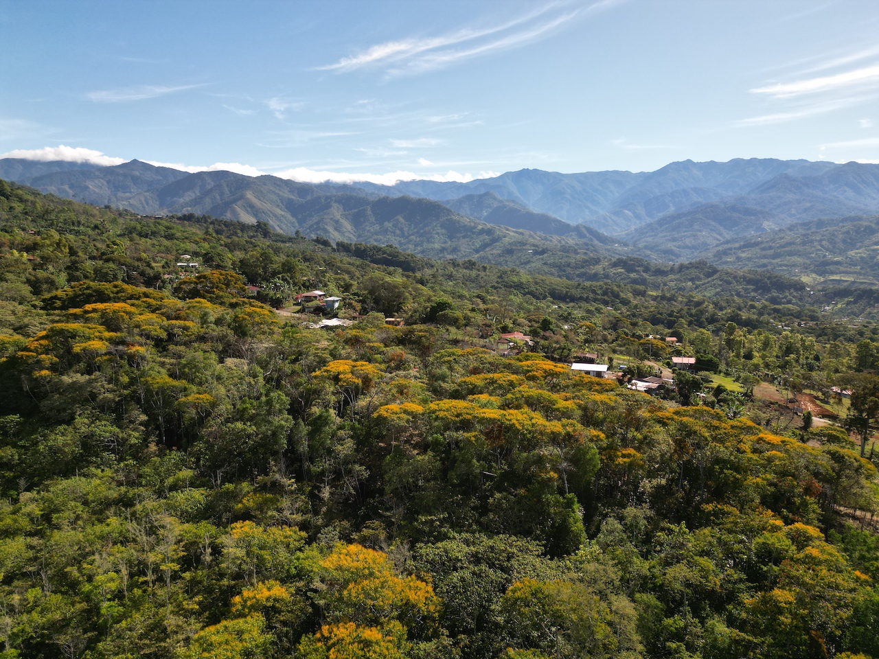 0 bed Land For Sale in Perez Zeledon, San Jose - thumb 8