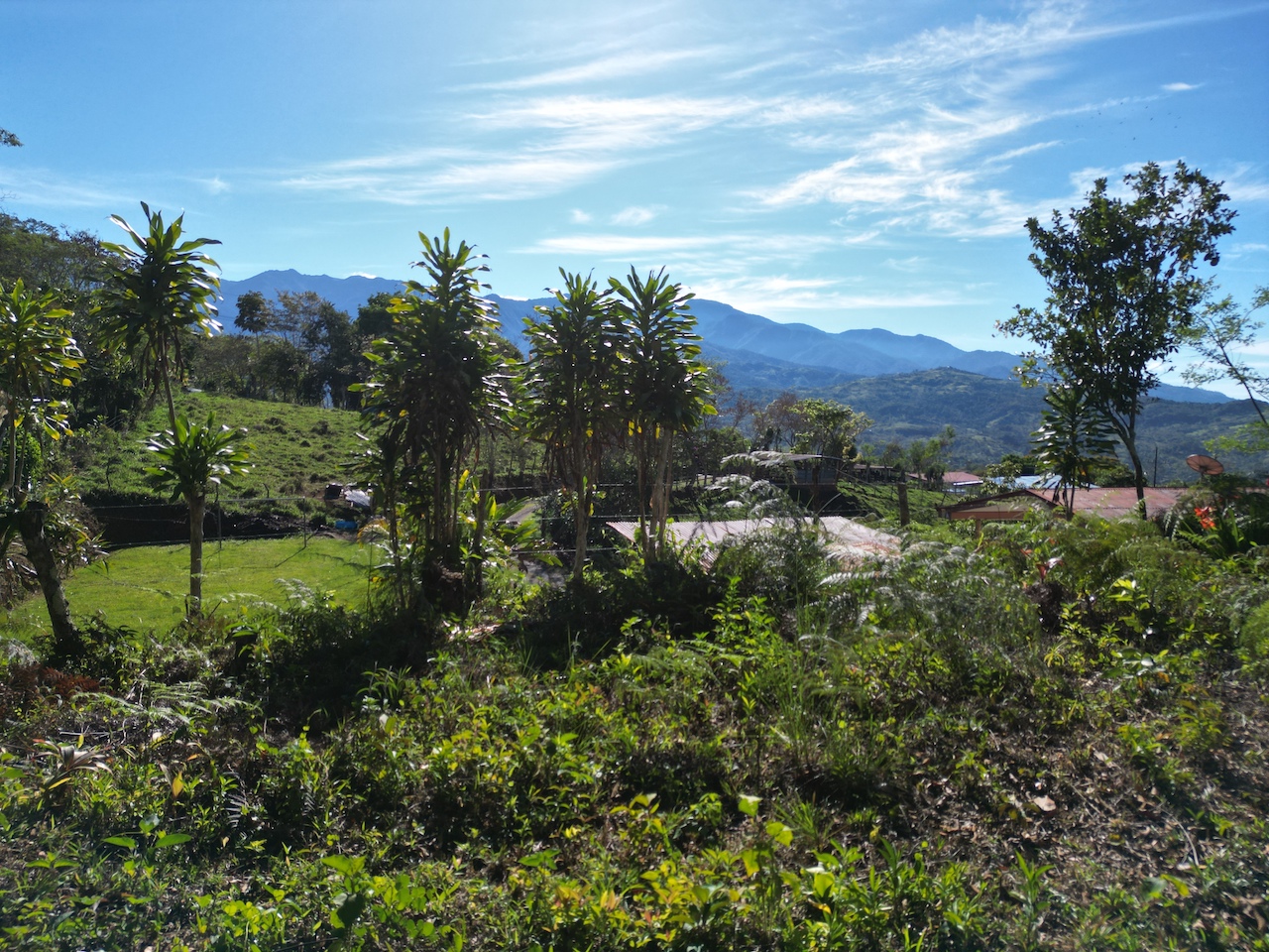 0 bed Land For Sale in Perez Zeledon, San Jose - thumb 17