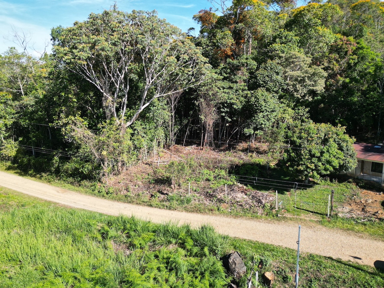0 bed Land For Sale in Perez Zeledon, San Jose - thumb 7
