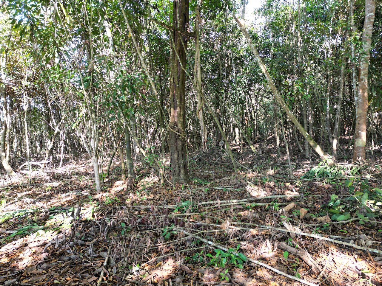 0 bed Land For Sale in Perez Zeledon, San Jose - thumb 14