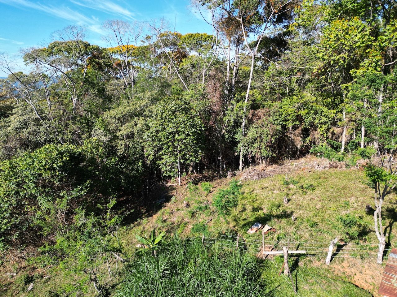 0 bed Land For Sale in Perez Zeledon, San Jose - thumb 6