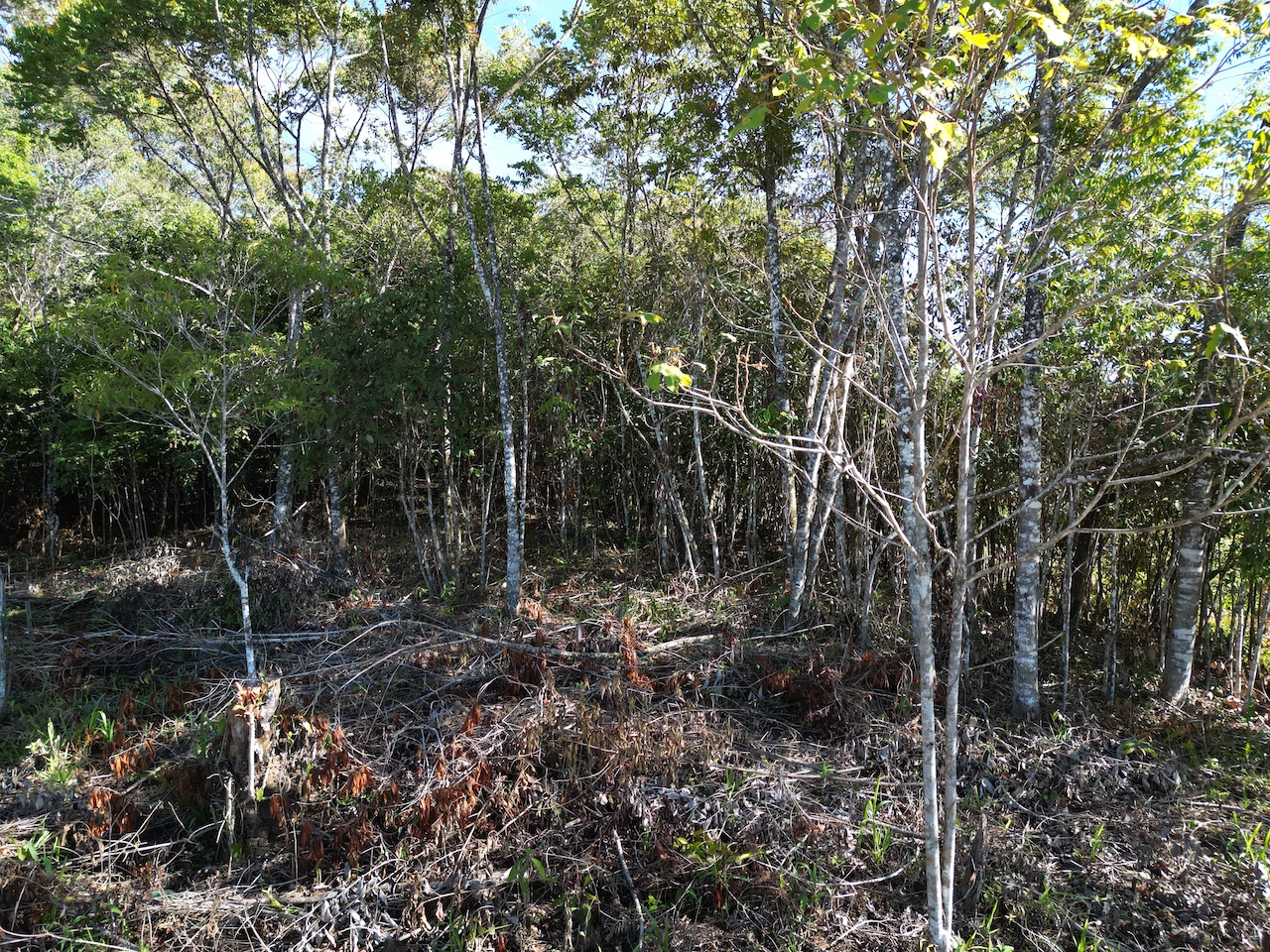 0 bed Land For Sale in Perez Zeledon, San Jose - thumb 22