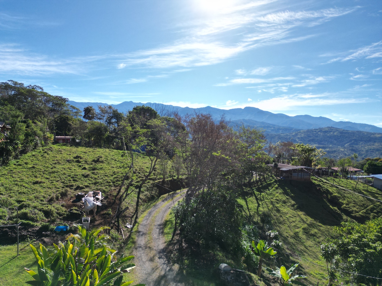 0 bed Land For Sale in Perez Zeledon, San Jose - thumb 11