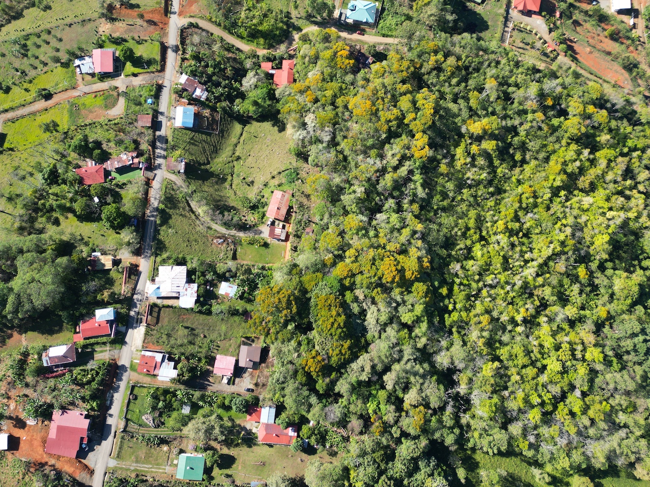 0 bed Land For Sale in Perez Zeledon, San Jose - thumb 3