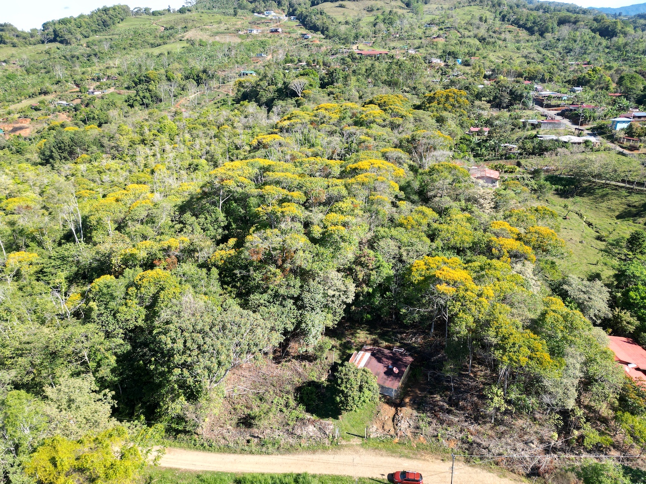 0 bed Land For Sale in Perez Zeledon, San Jose - thumb 4