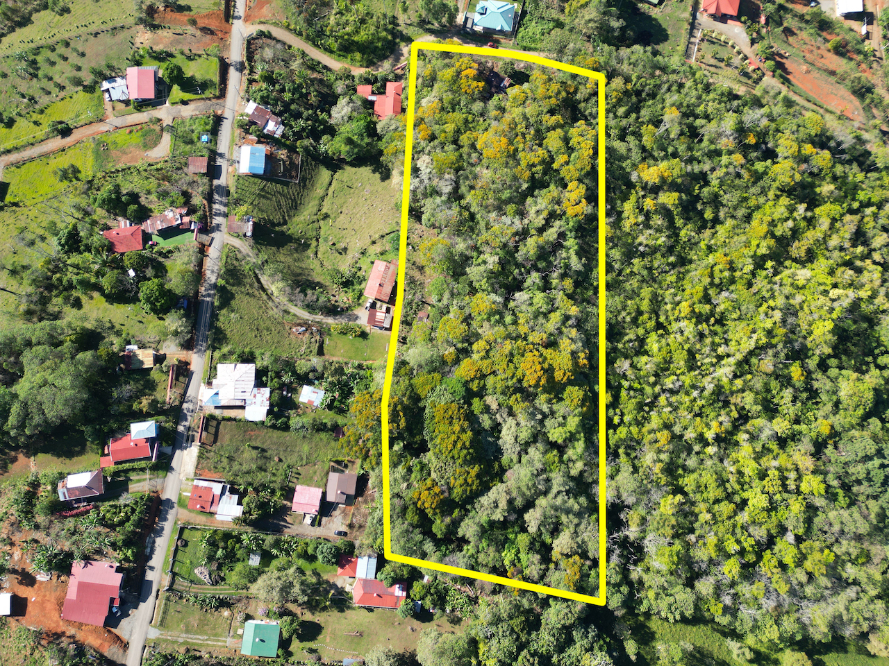 0 bed Land For Sale in Perez Zeledon, San Jose - thumb 1