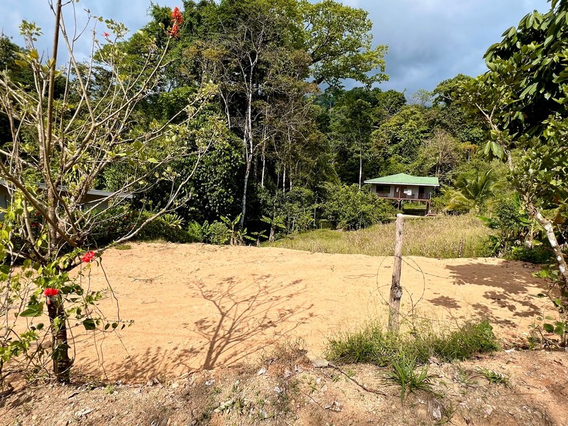 0 bed Land For Sale in Uvita, Puntarenas - 1