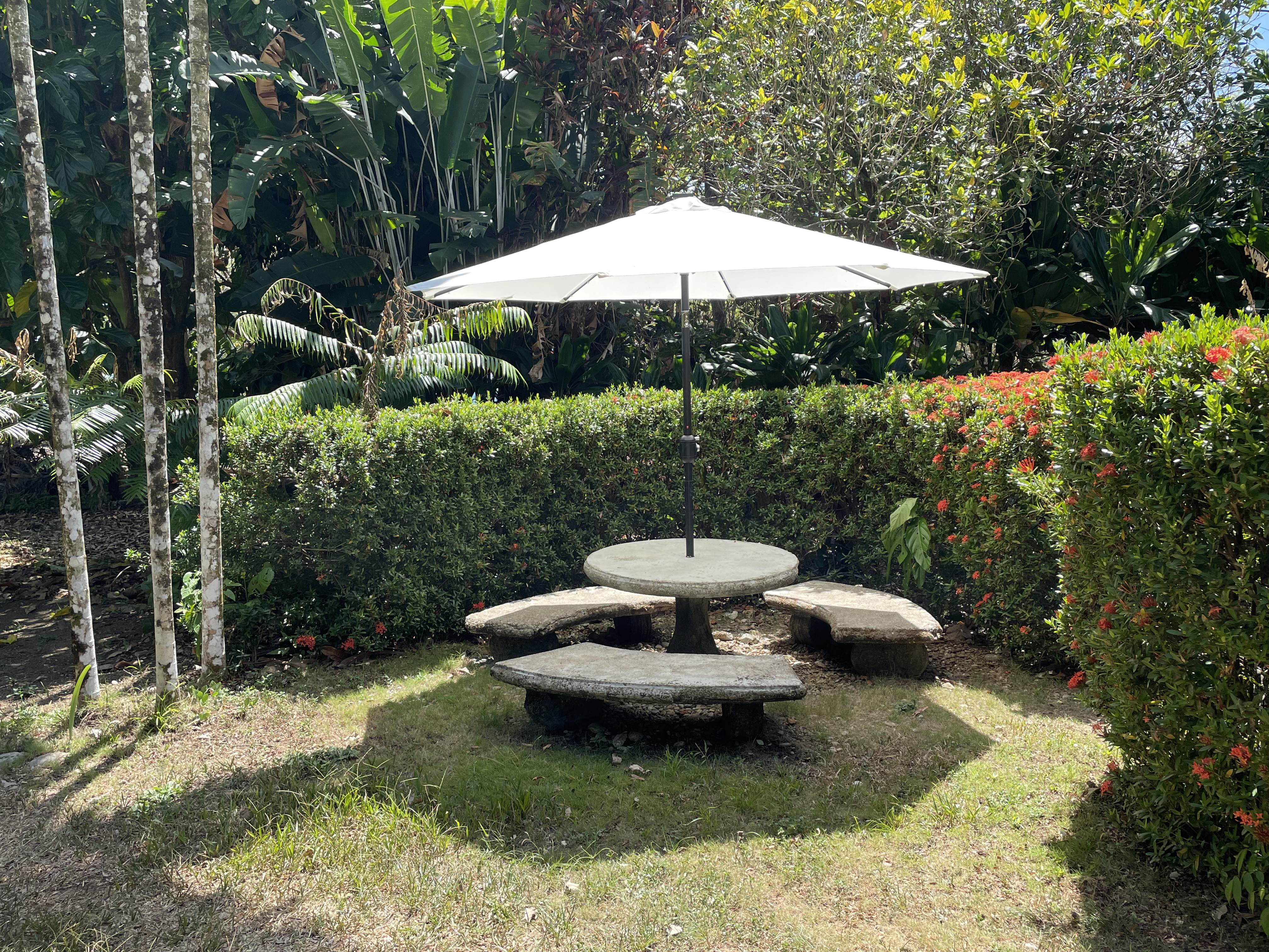 7 bed Single Family Homes For Sale in Cabo Matapalo, Puntarenas - thumb 17