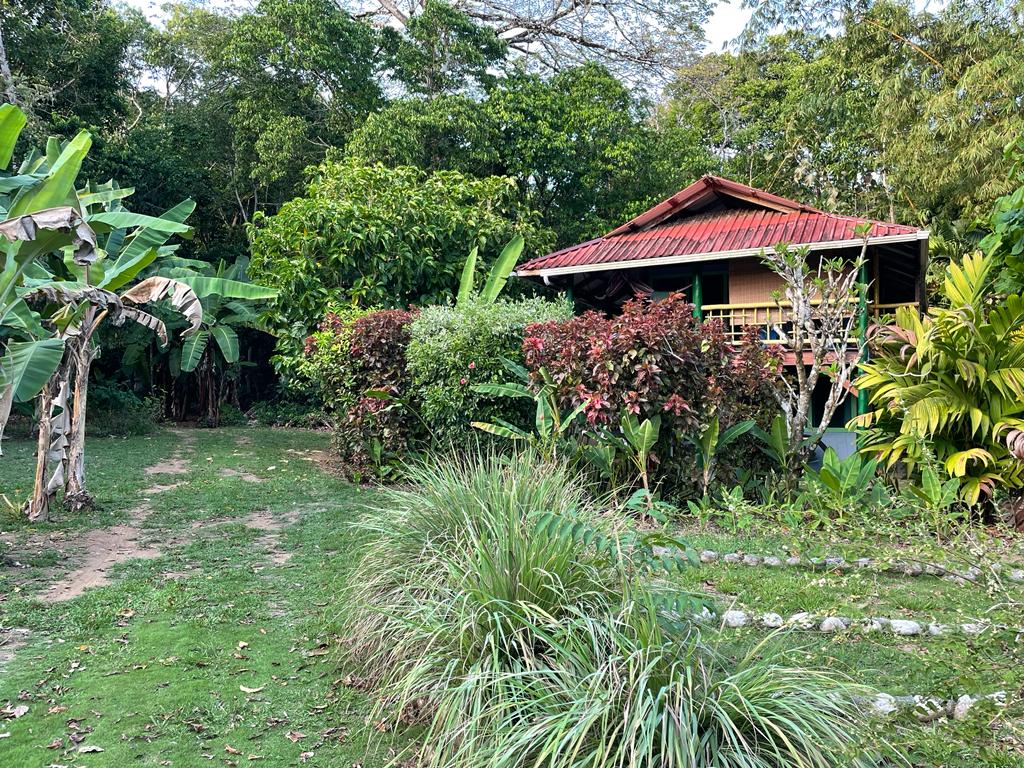 7 bed Single Family Homes For Sale in Cabo Matapalo, Puntarenas - thumb 18