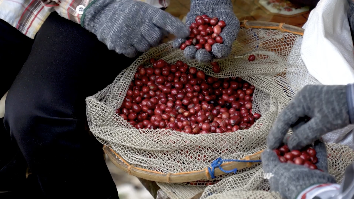 0 bed Land For Sale in Uvita, Puntarenas - thumb 29