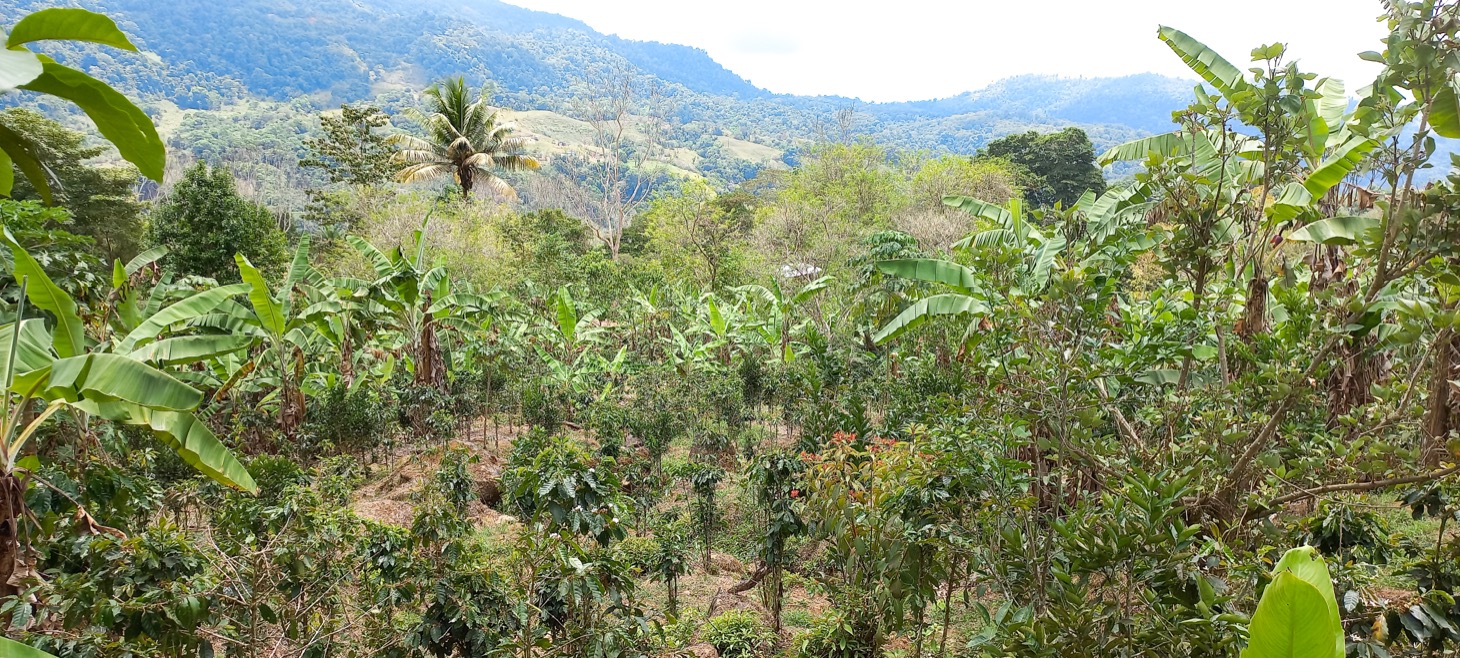 0 bed Land For Sale in Uvita, Puntarenas - thumb 11
