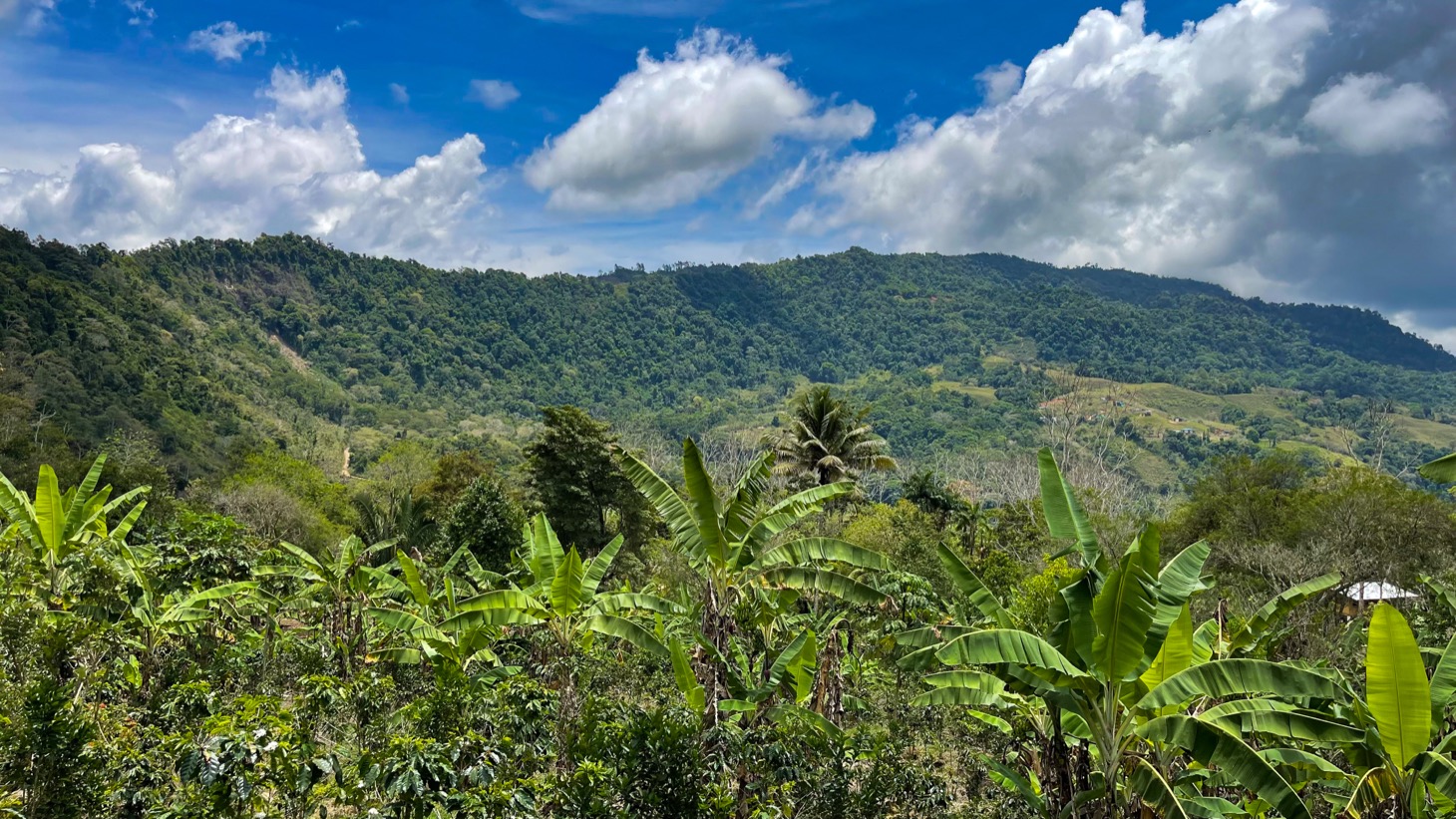 0 bed Land For Sale in Uvita, Puntarenas - thumb 26