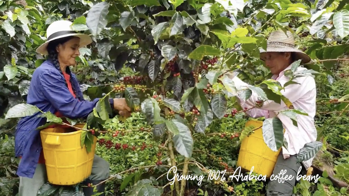 0 bed Land For Sale in Uvita, Puntarenas - thumb 10