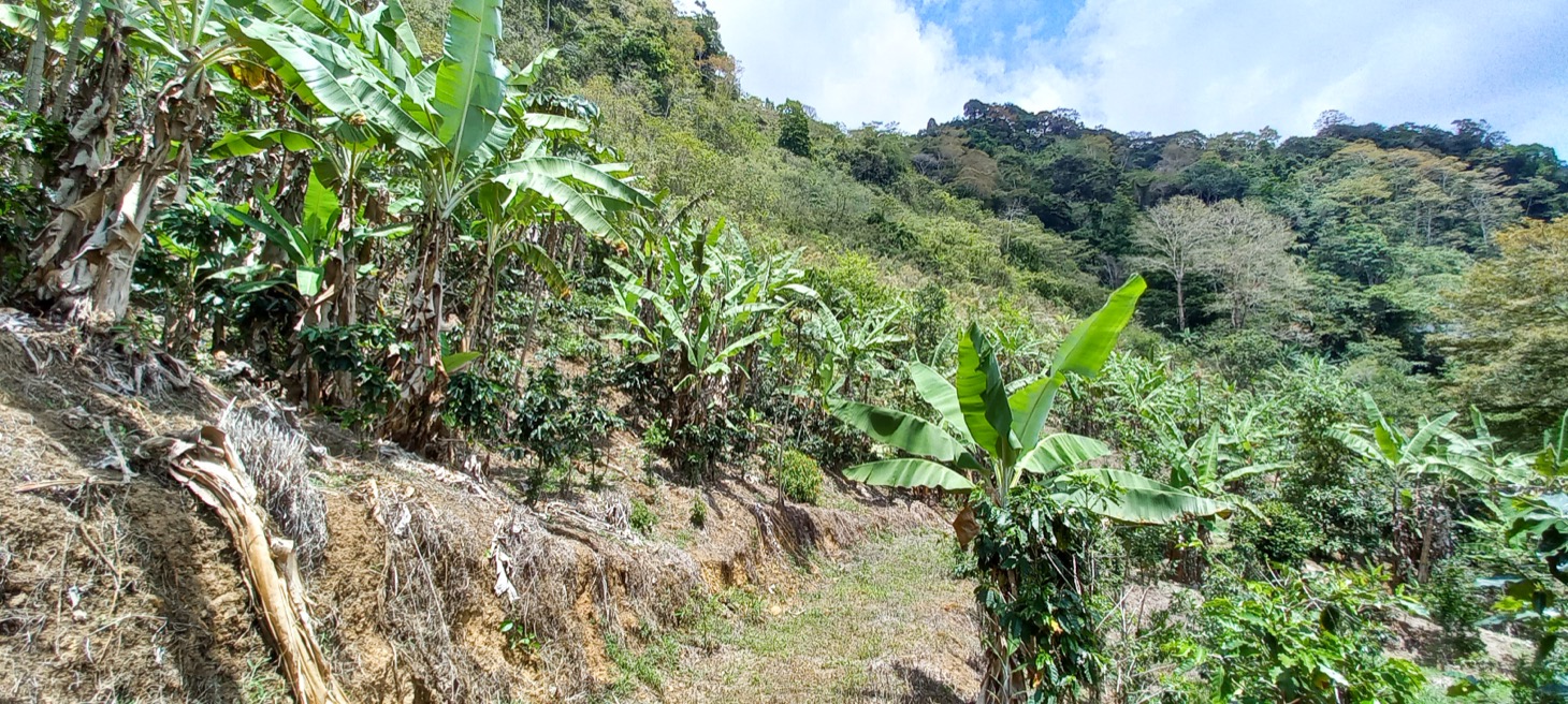 0 bed Land For Sale in Uvita, Puntarenas - thumb 12