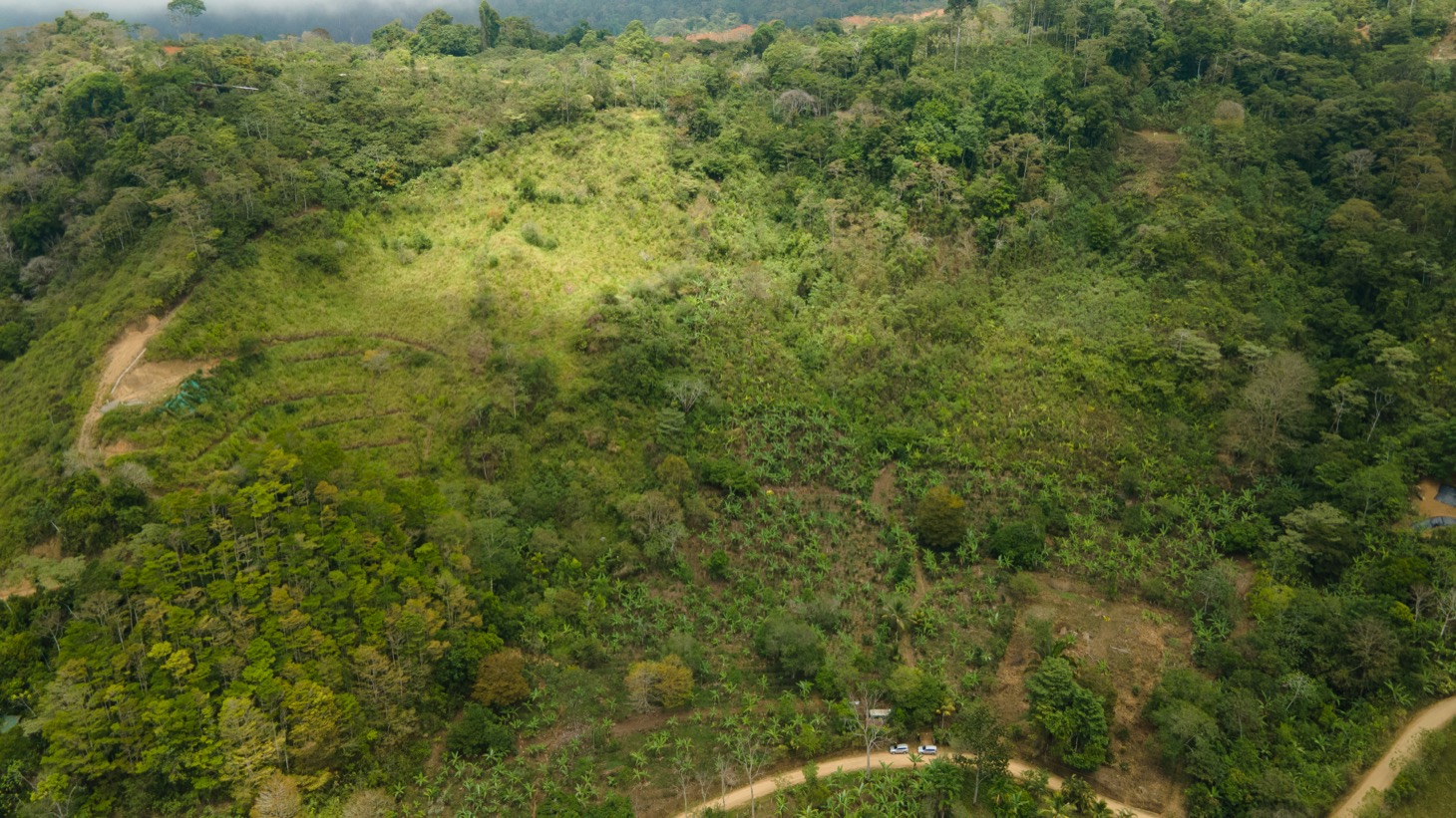 0 bed Land For Sale in Uvita, Puntarenas - thumb 5