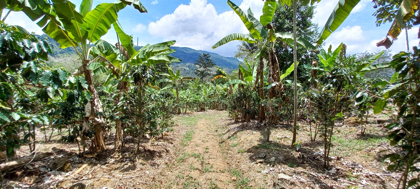 0 bed Land For Sale in Uvita, Puntarenas - thumb 25