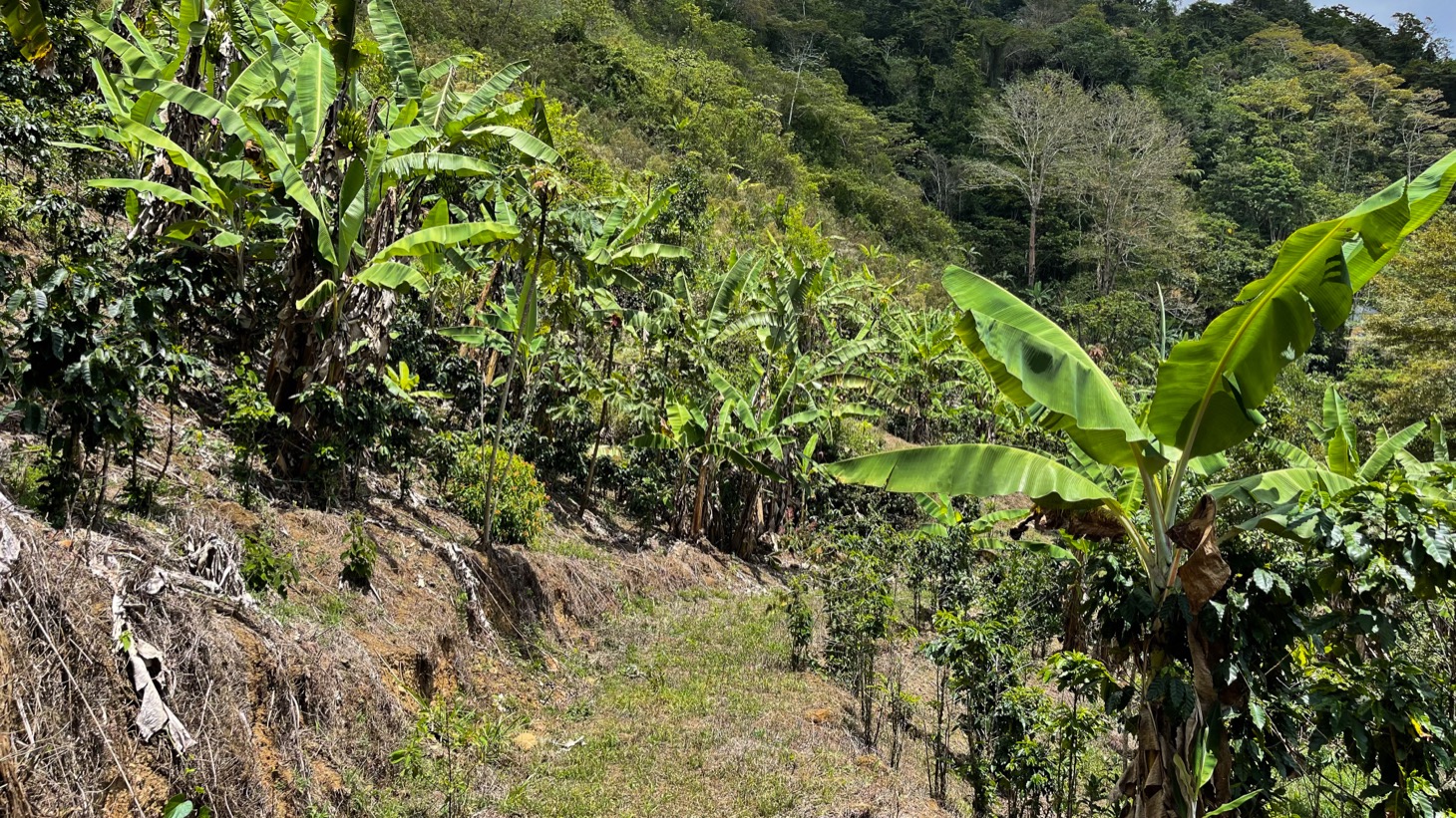 0 bed Land For Sale in Uvita, Puntarenas - thumb 23