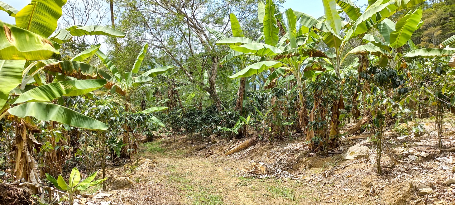 0 bed Land For Sale in Uvita, Puntarenas - thumb 14