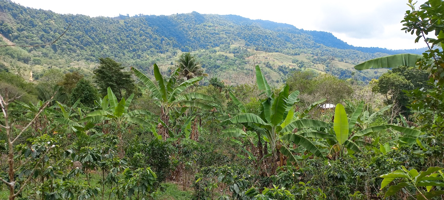 0 bed Land For Sale in Uvita, Puntarenas - thumb 21