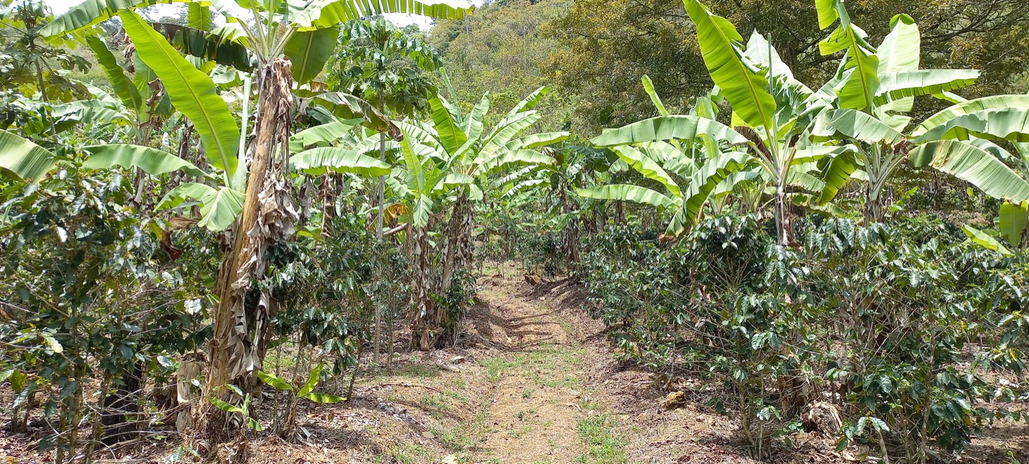 0 bed Land For Sale in Uvita, Puntarenas - thumb 17